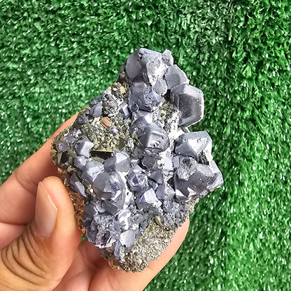 Galena Crystals on Octahedral Pyrite