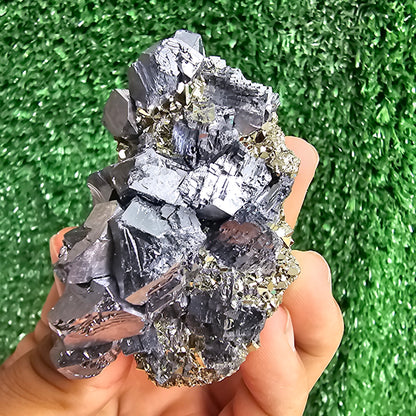 Galena Crystals on Octahedral Pyrite