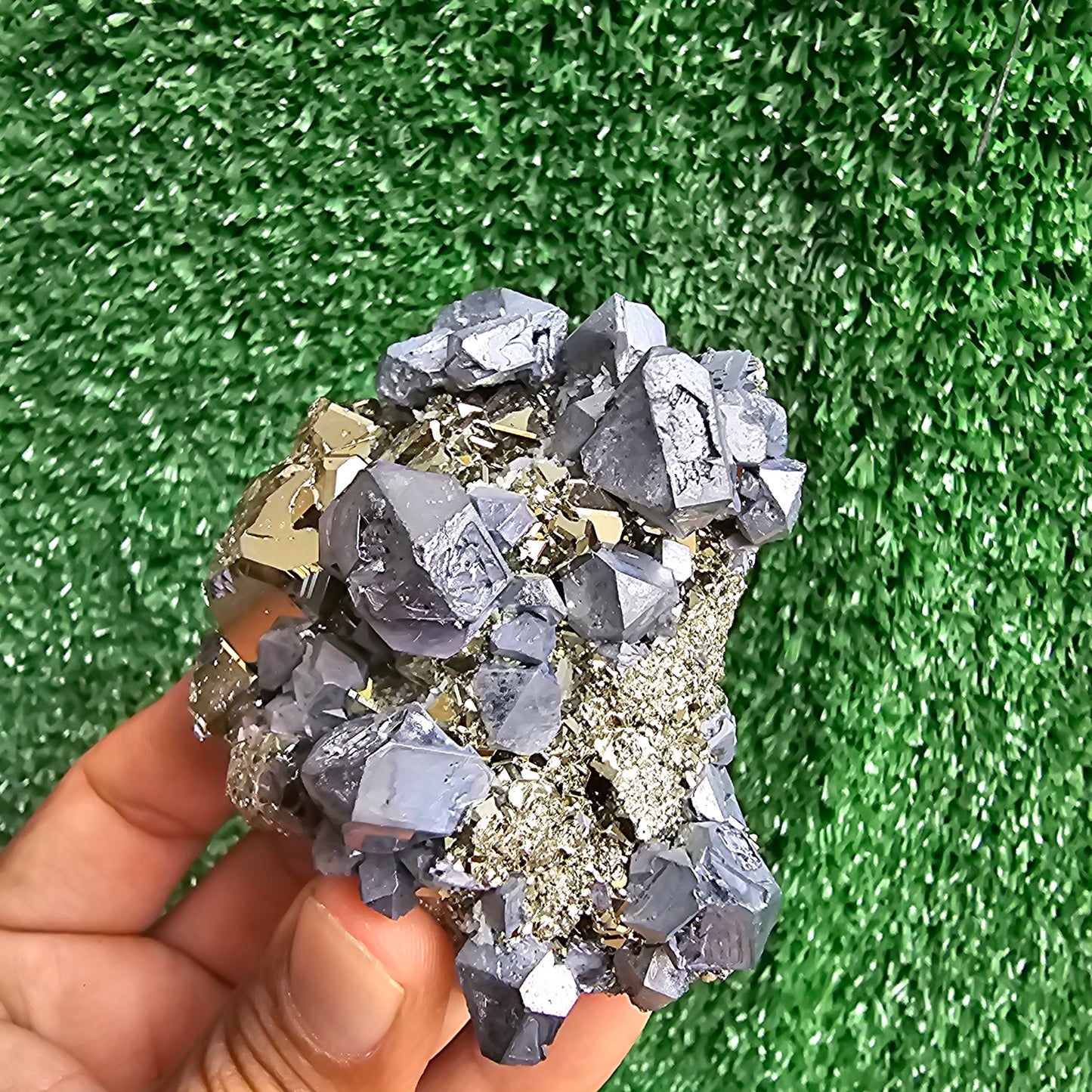 Galena Crystals on Octahedral Pyrite