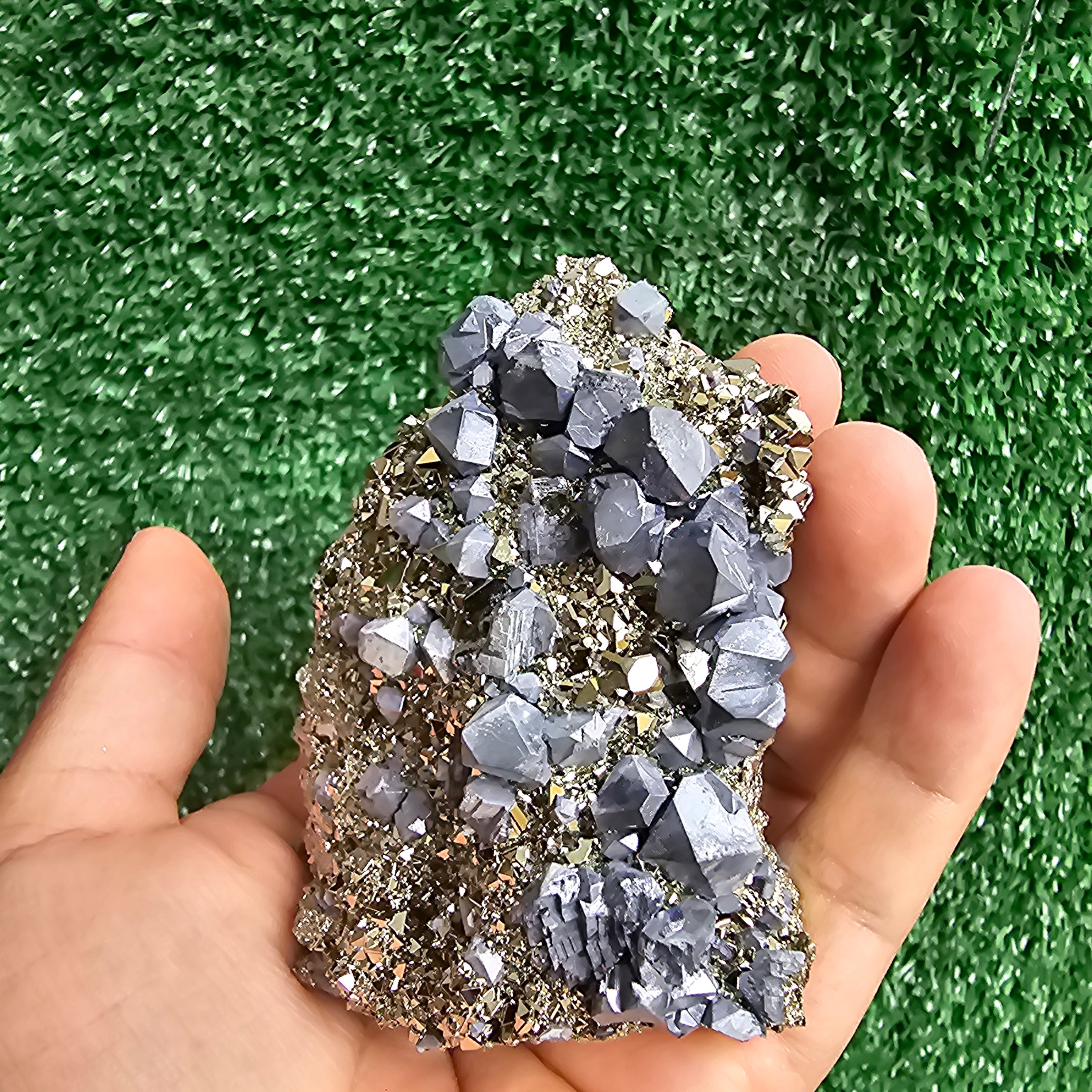Galena Crystals on Octahedral Pyrite