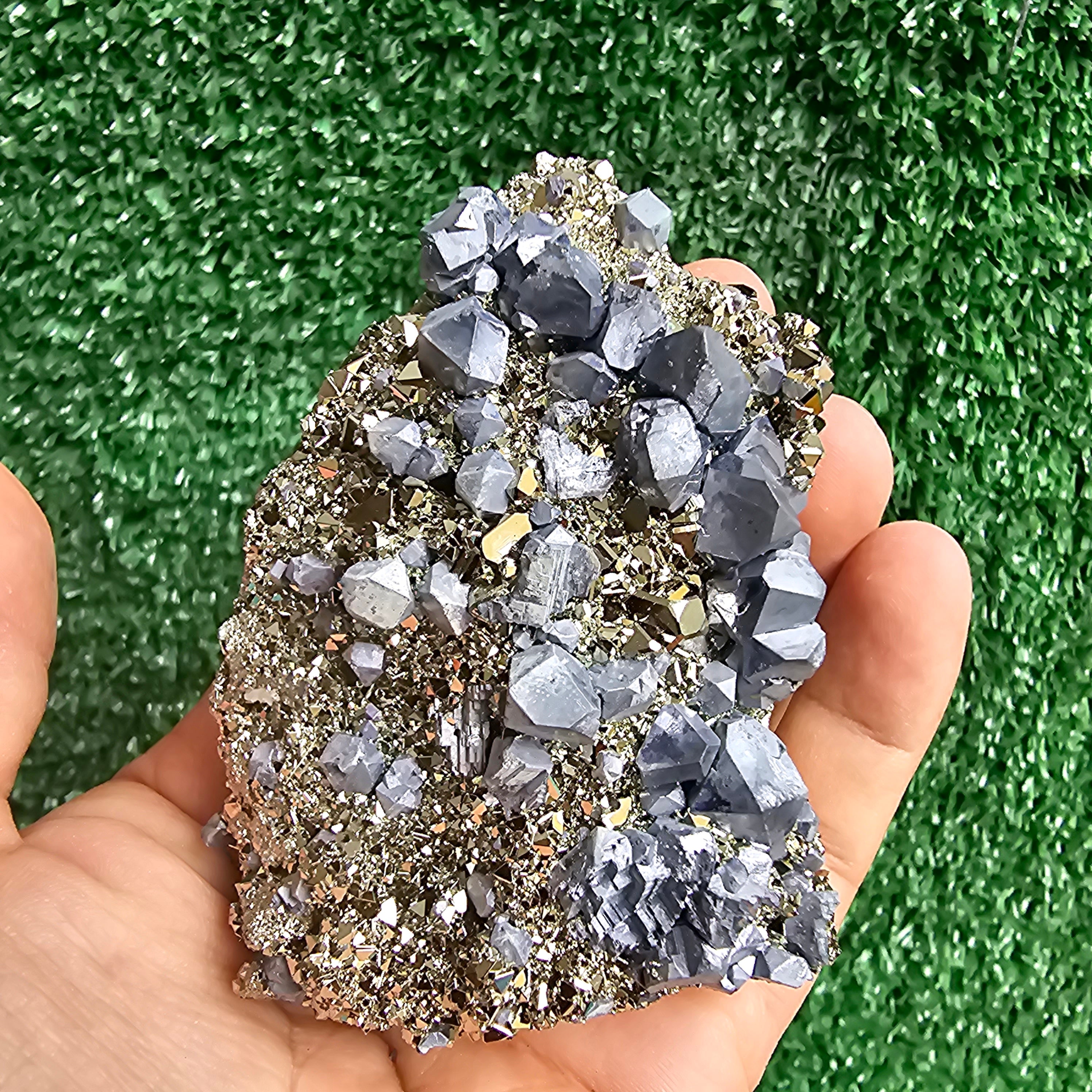Galena Crystals on Octahedral Pyrite