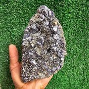 Galena Crystals on Octahedral Pyrite