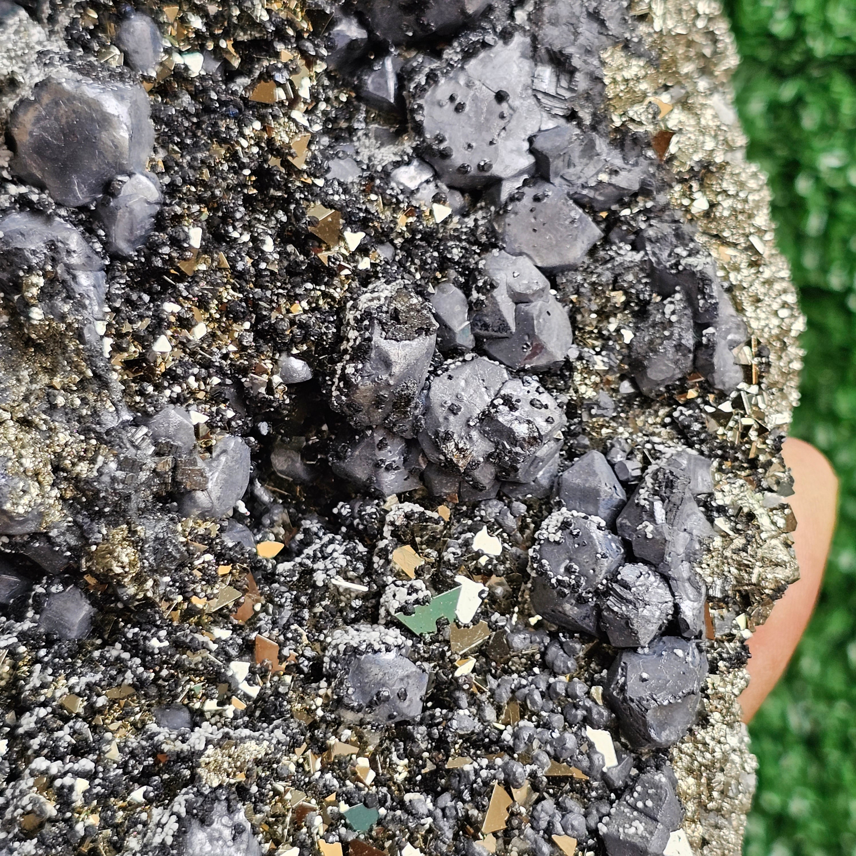 Galena Crystals on Octahedral Pyrite