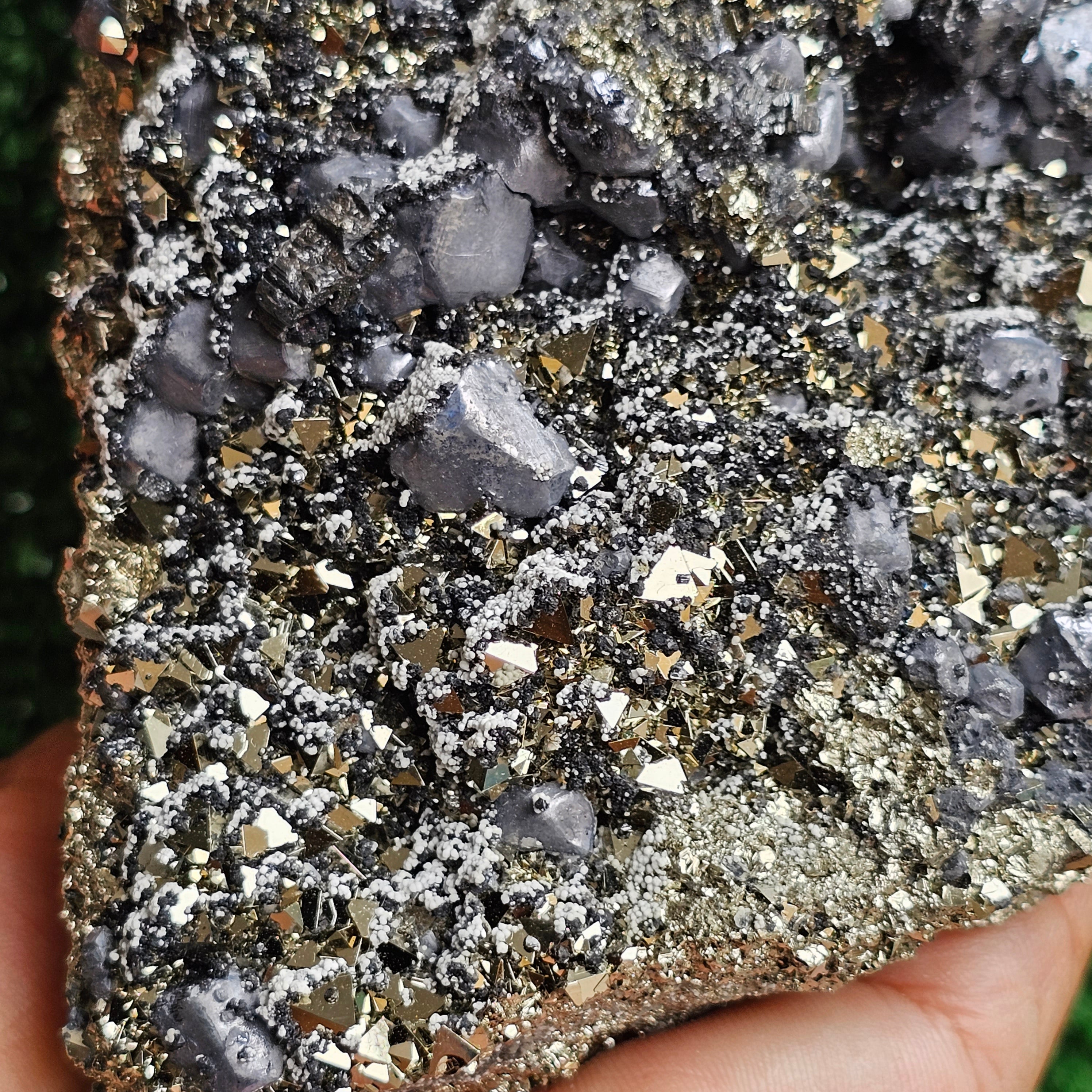 Galena Crystals on Octahedral Pyrite