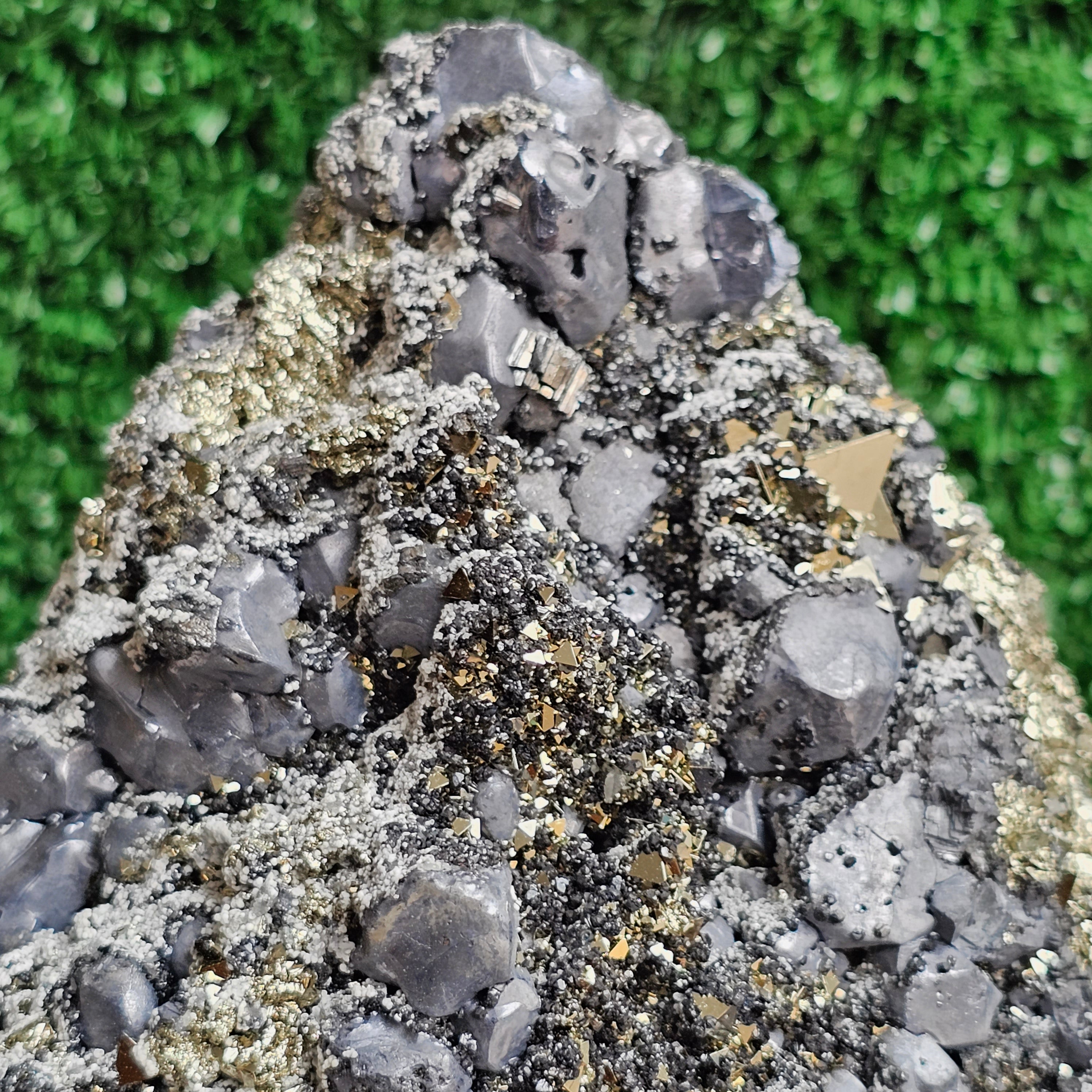 Galena Crystals on Octahedral Pyrite