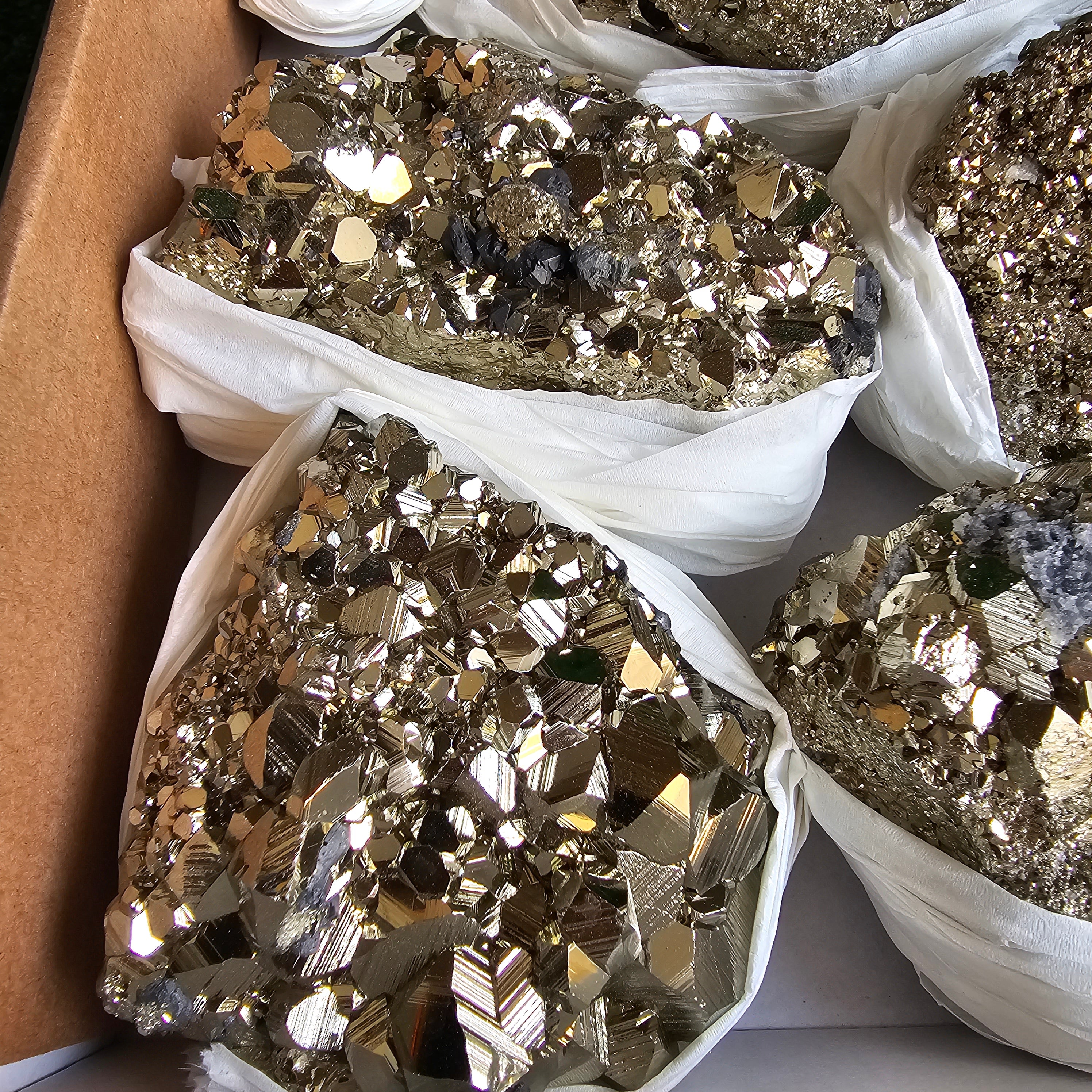 Flat pyrite Octahedral