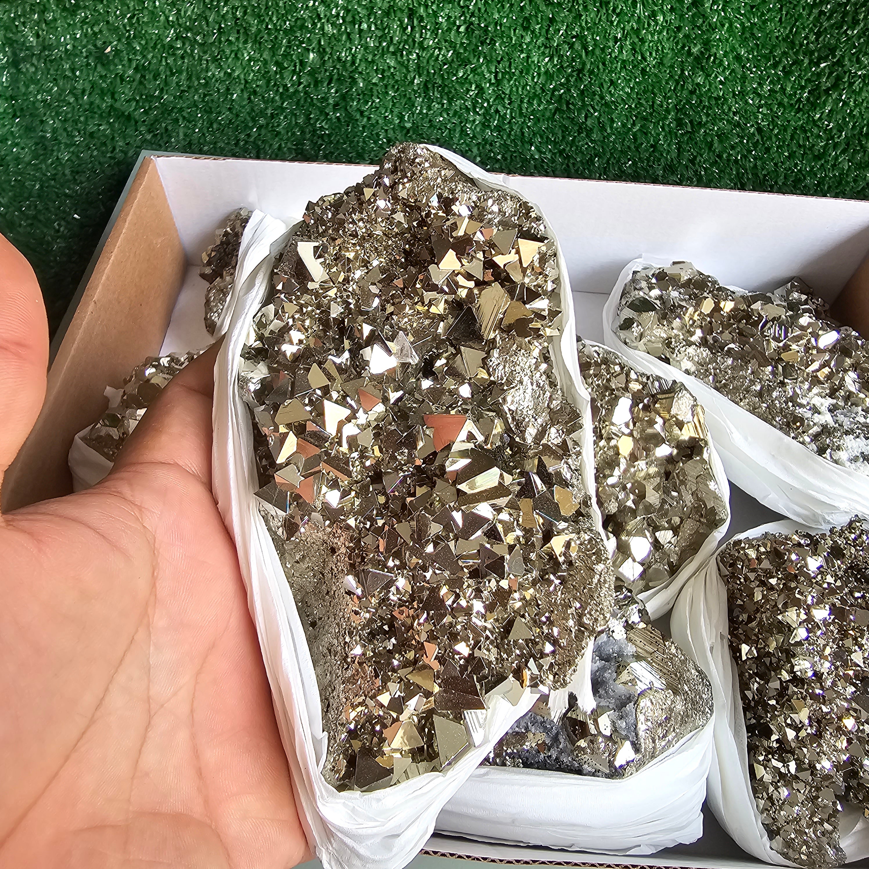 Flat pyrite Octahedral