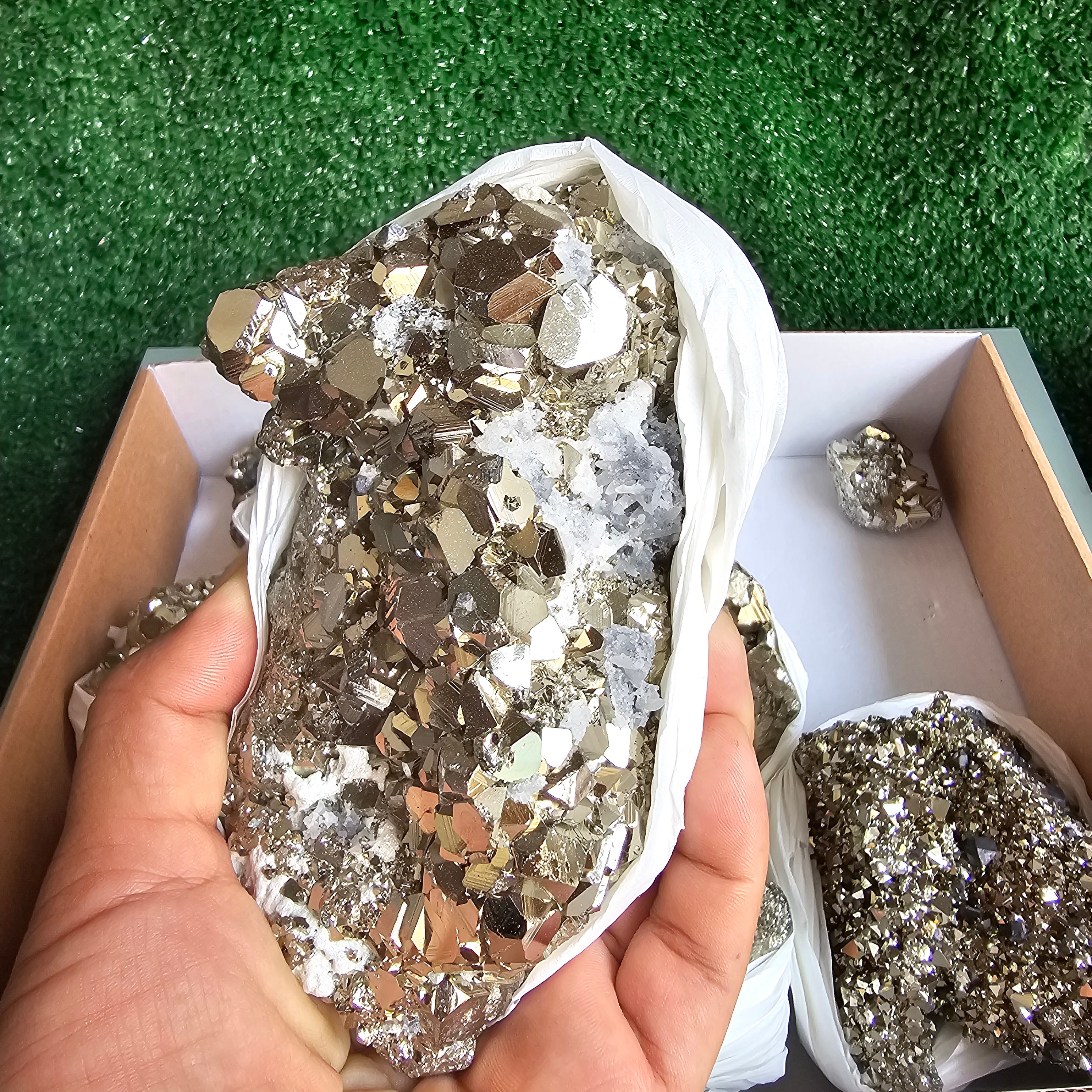 Flat pyrite Octahedral