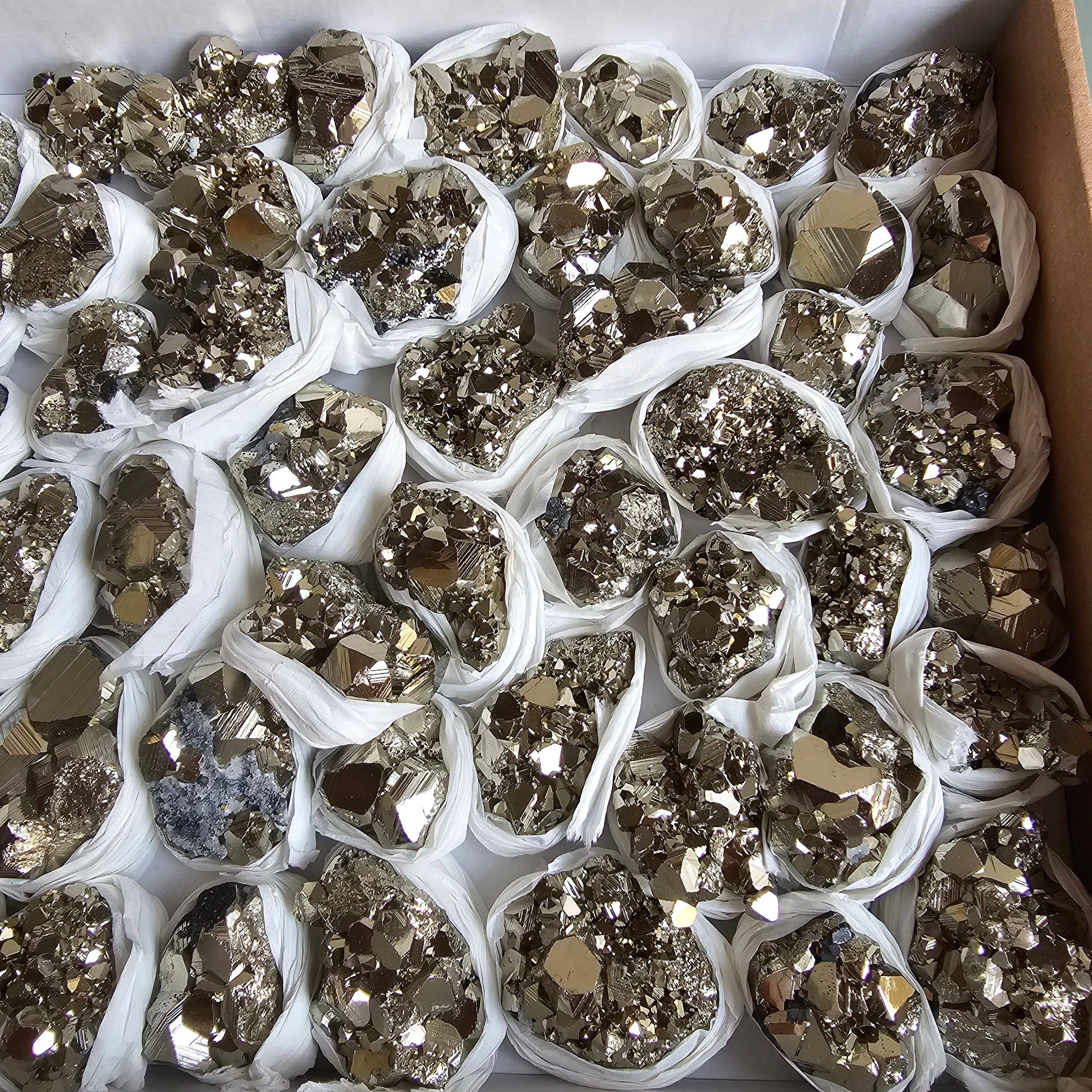 Flat pyrite Octahedral