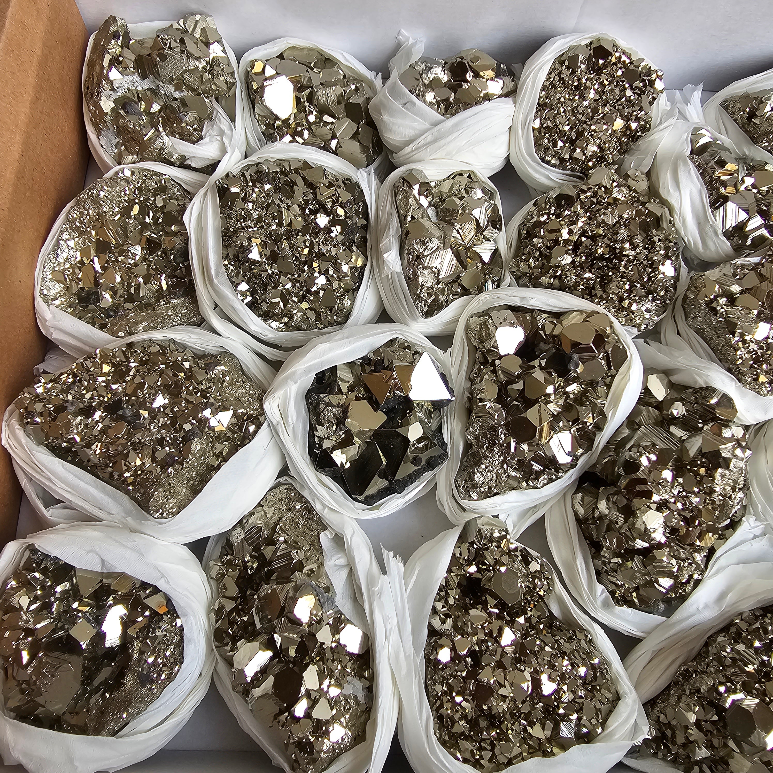 Flat pyrite Octahedral