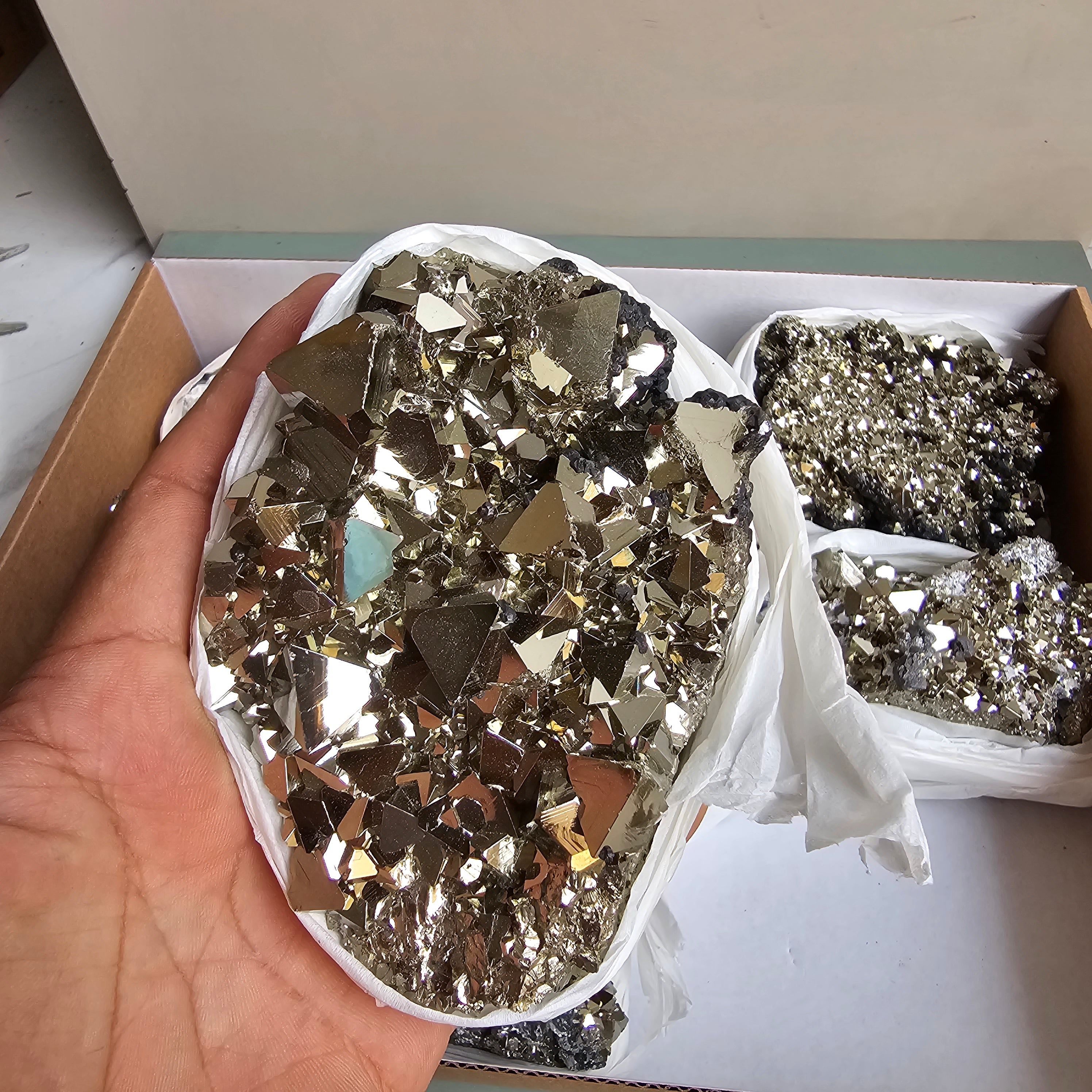 Flat pyrite Octahedral
