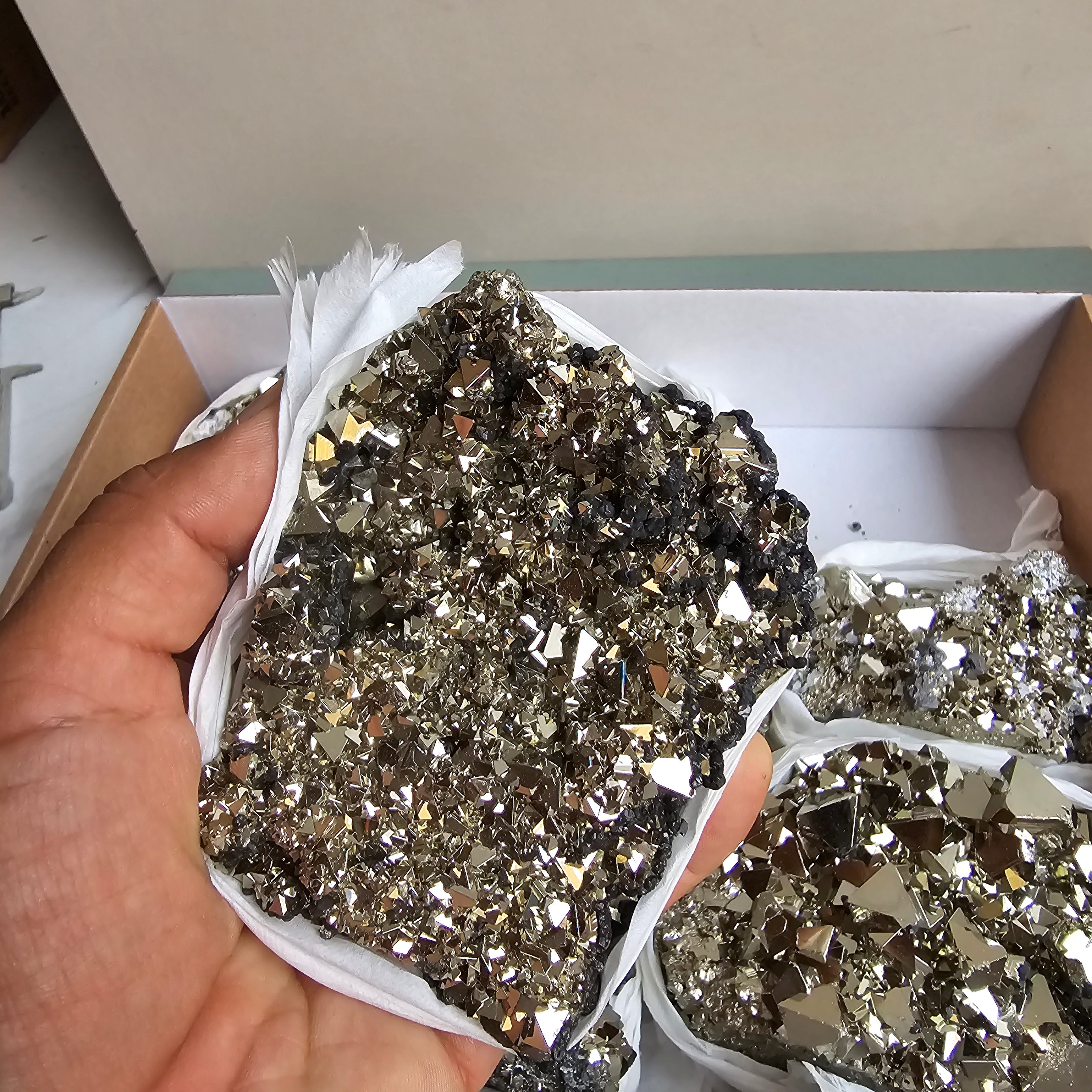 Flat pyrite Octahedral