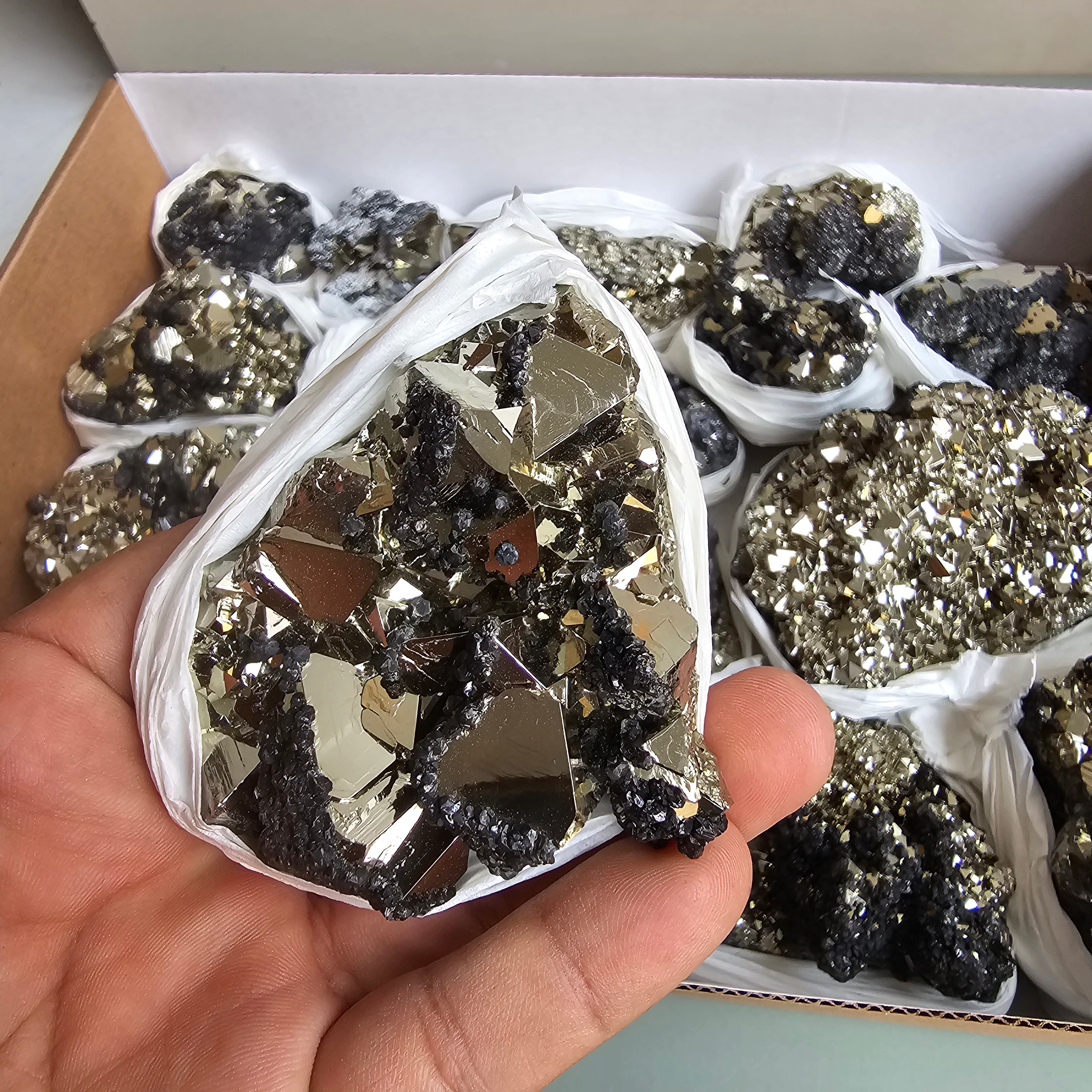 Flat pyrite Octahedral
