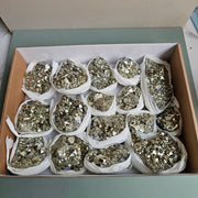 Flat pyrite Octahedral