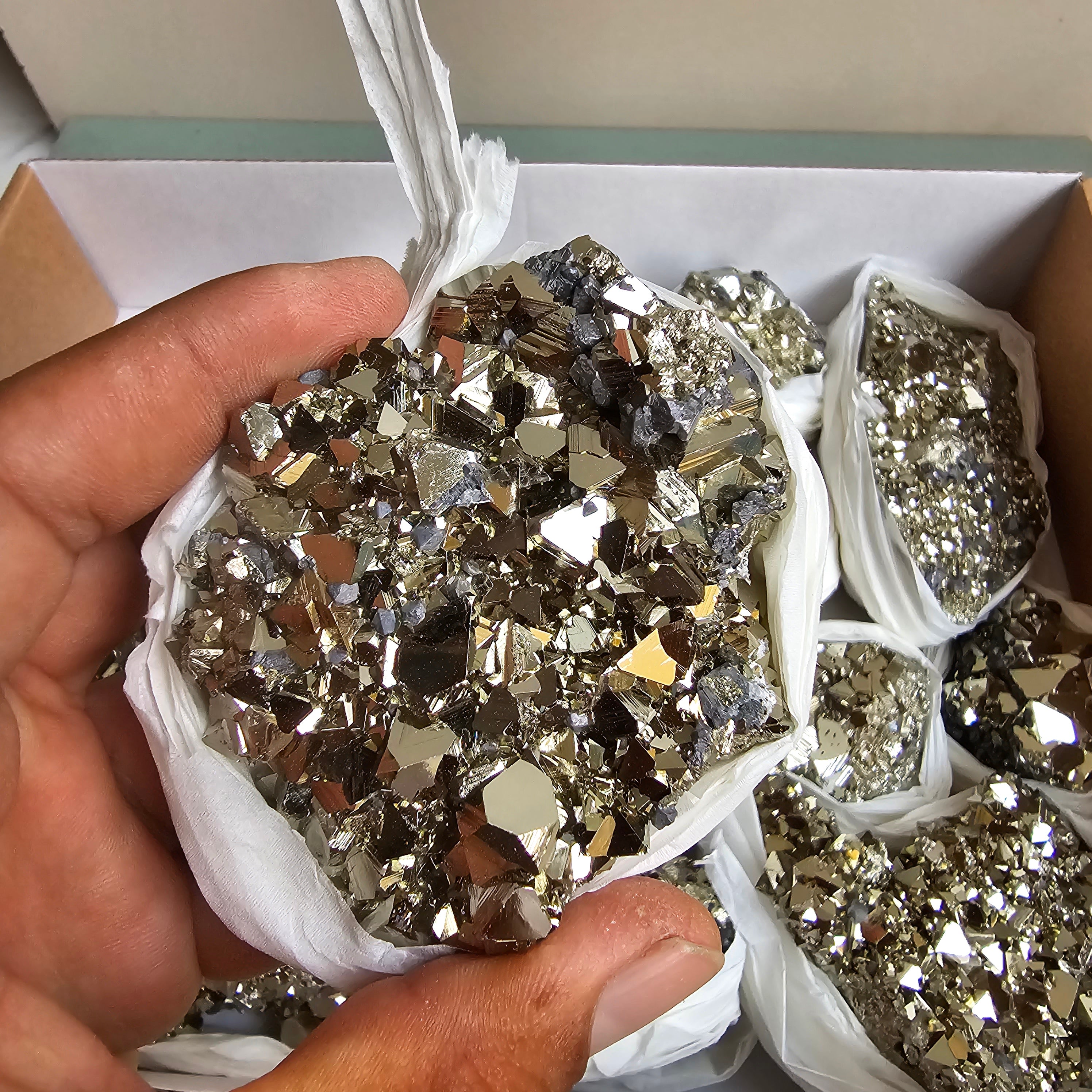 Flat pyrite Octahedral