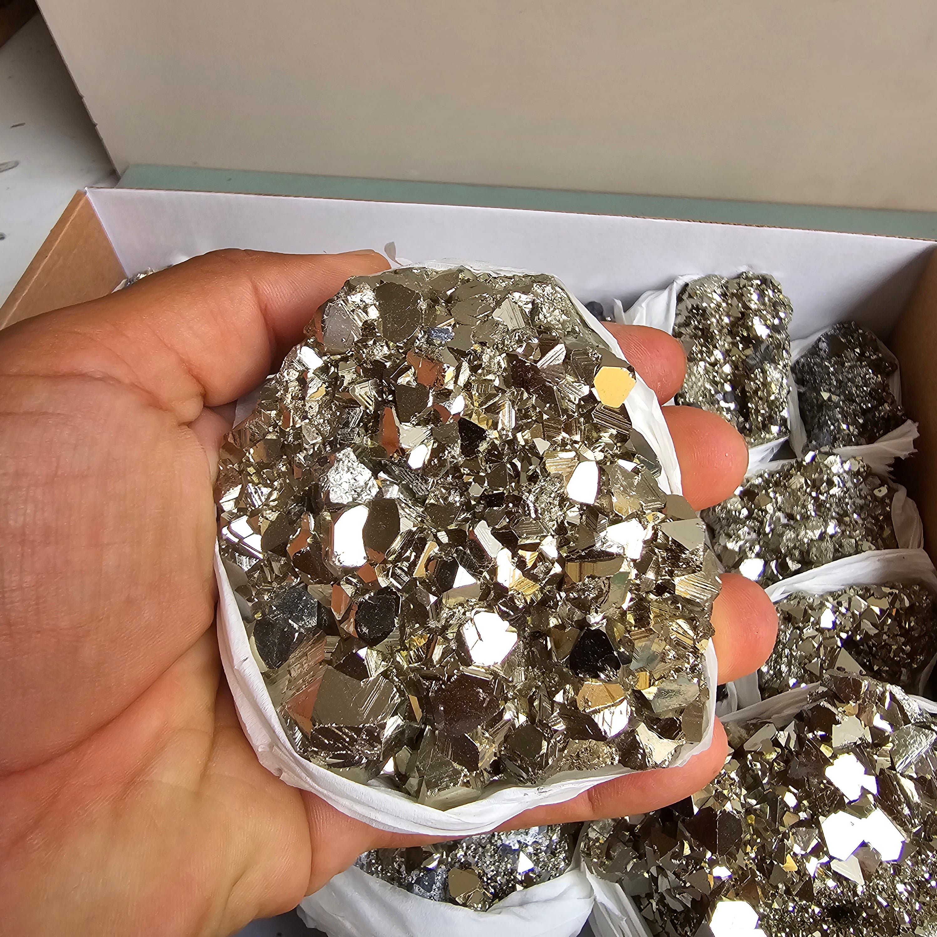 Flat pyrite Octahedral