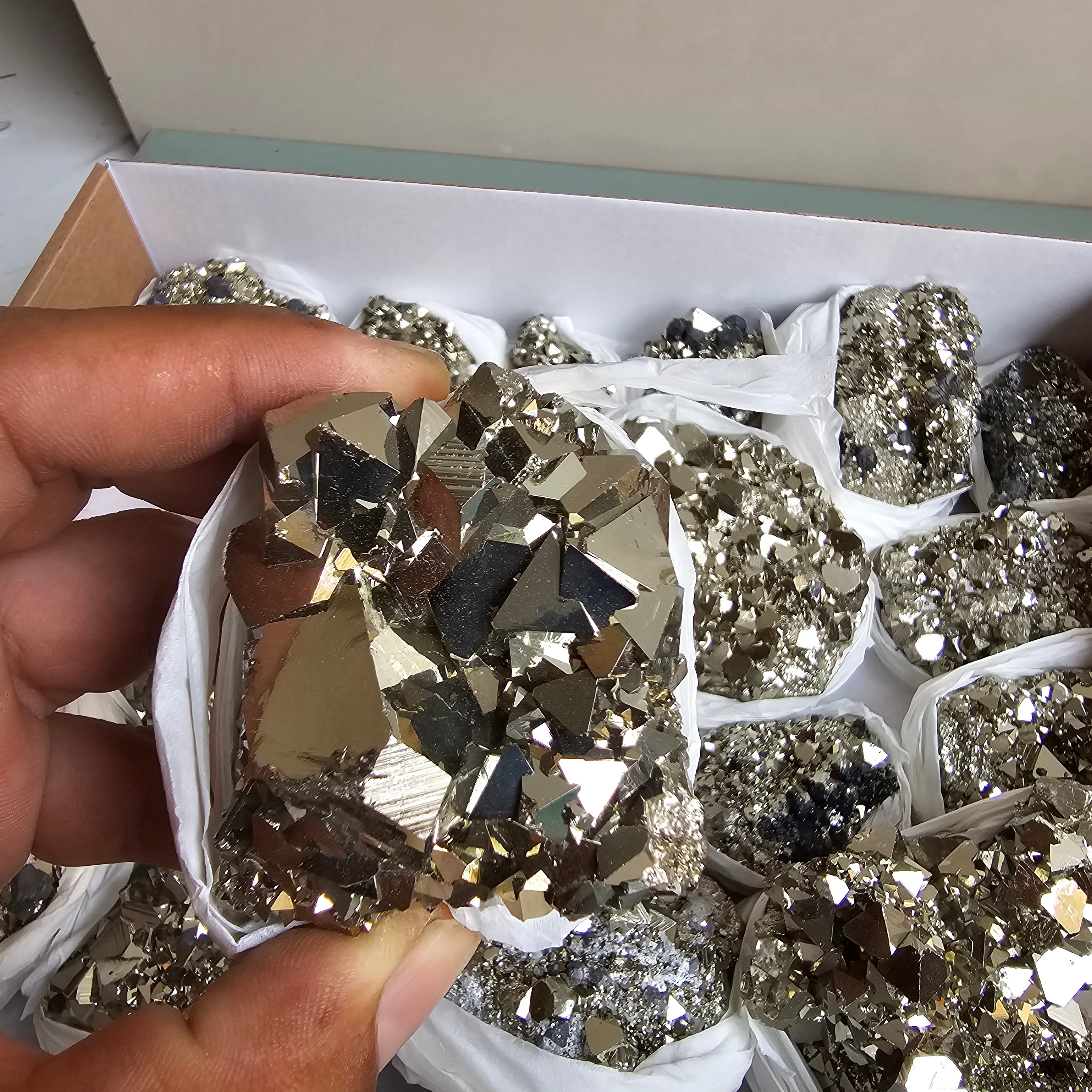 Flat pyrite Octahedral
