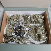 Flat pyrite Octahedral