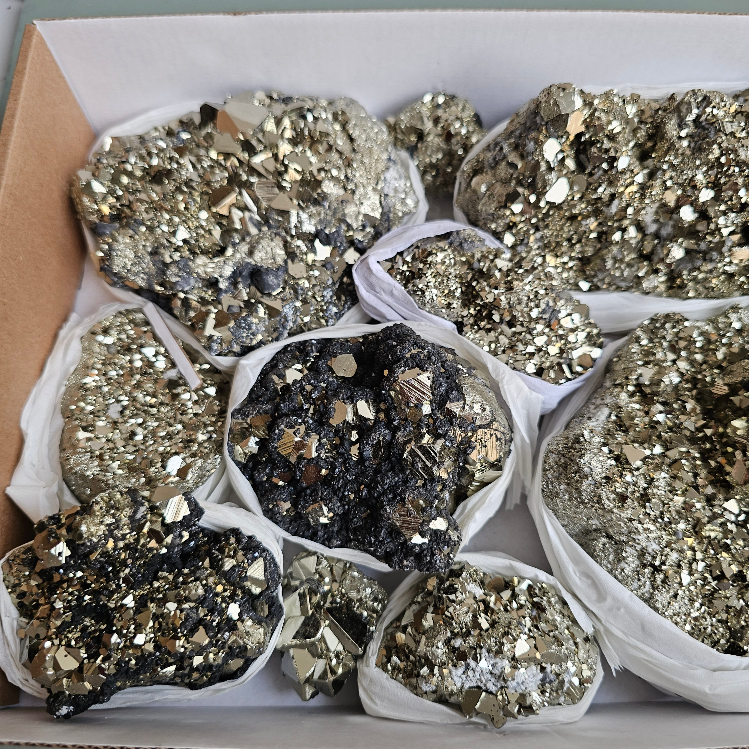Flat pyrite Octahedral