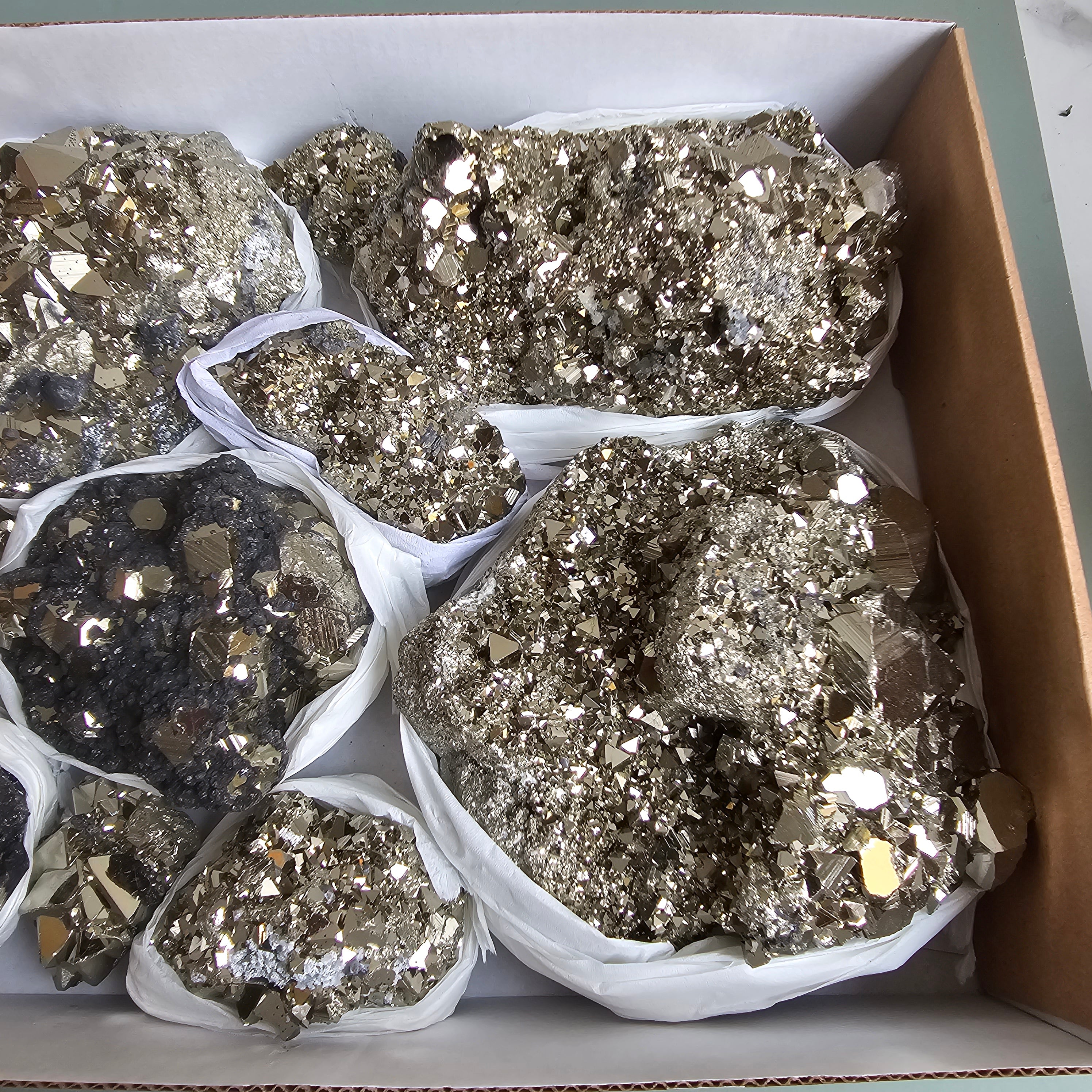 Flat pyrite Octahedral