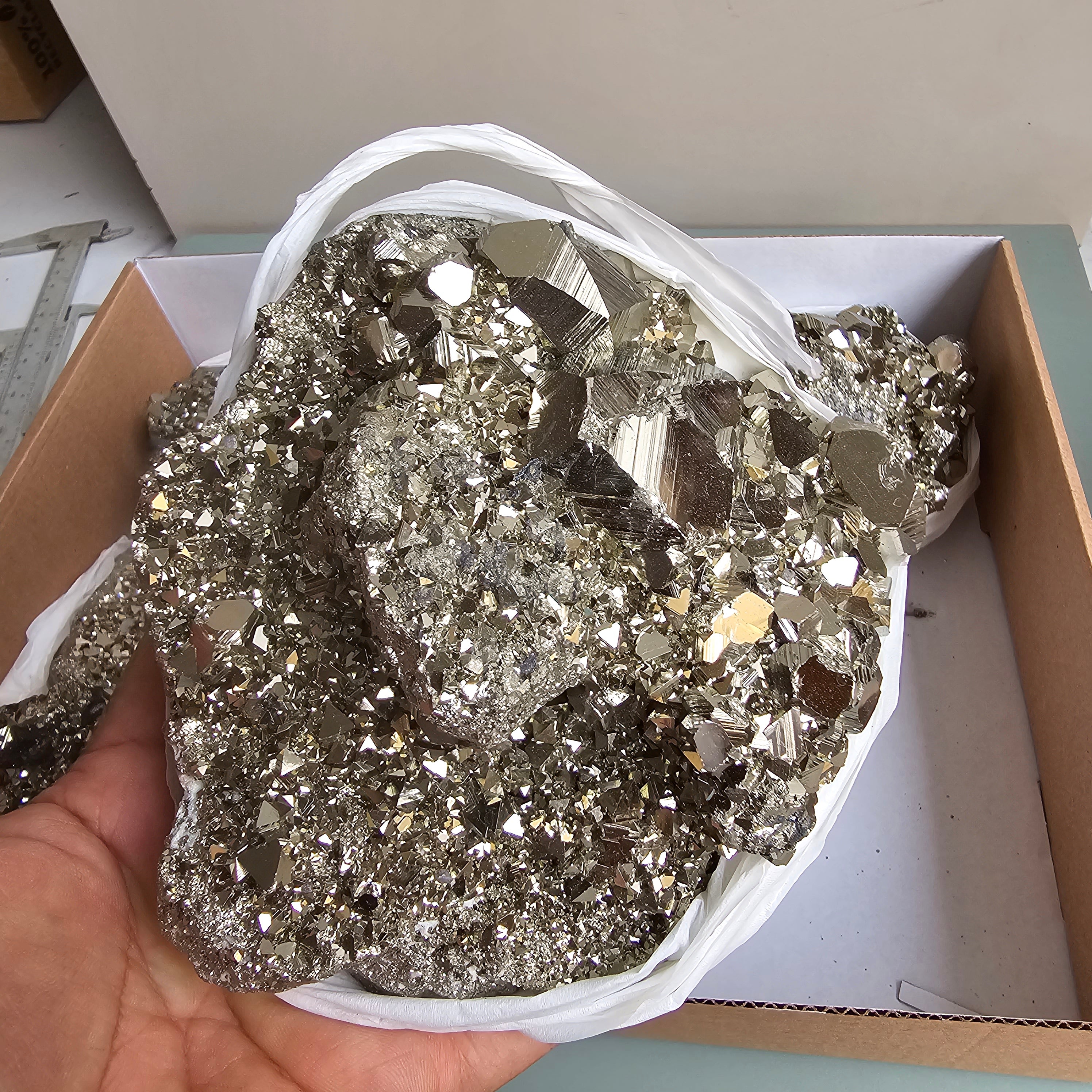 Flat pyrite Octahedral