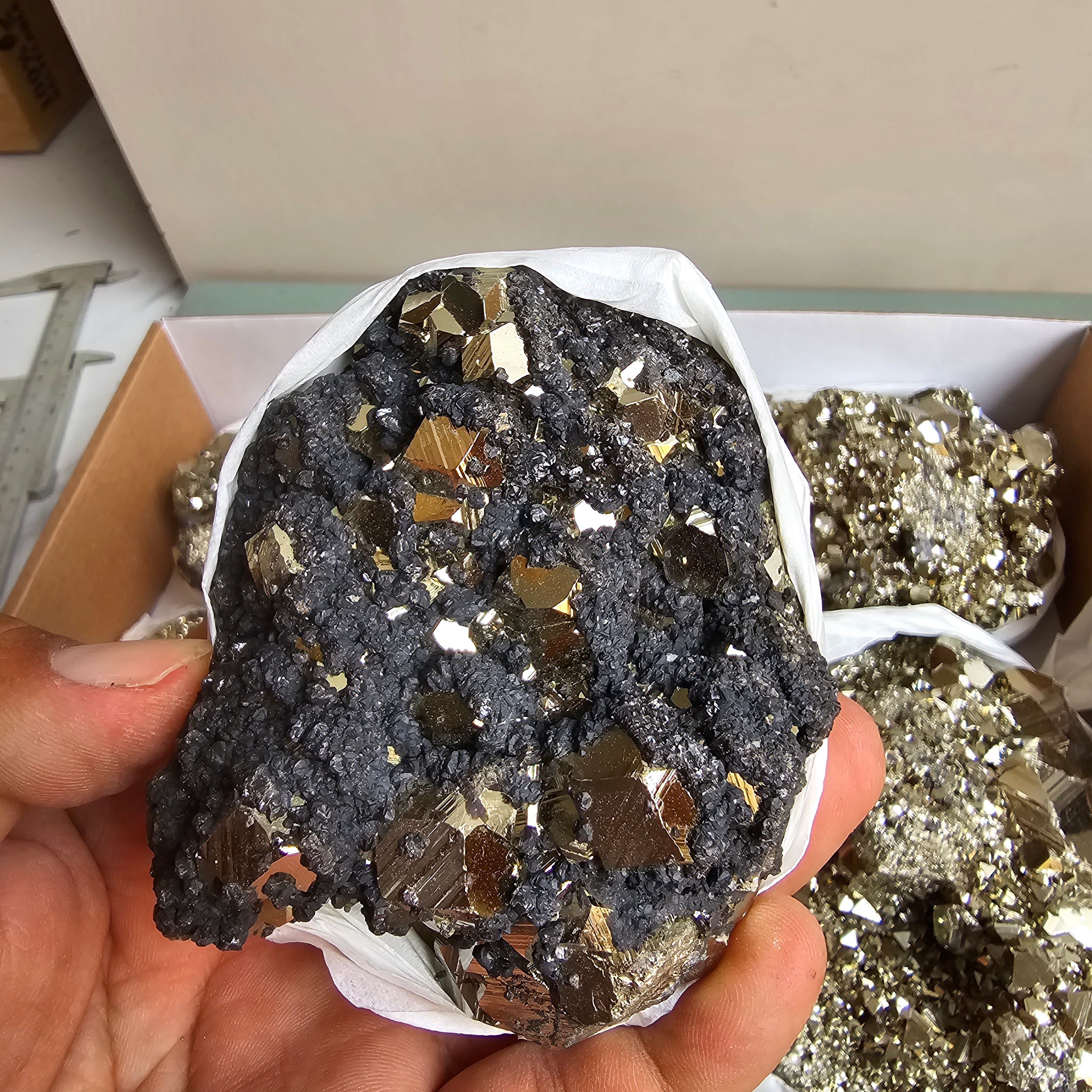 Flat pyrite Octahedral