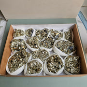 Flat pyrite Octahedral