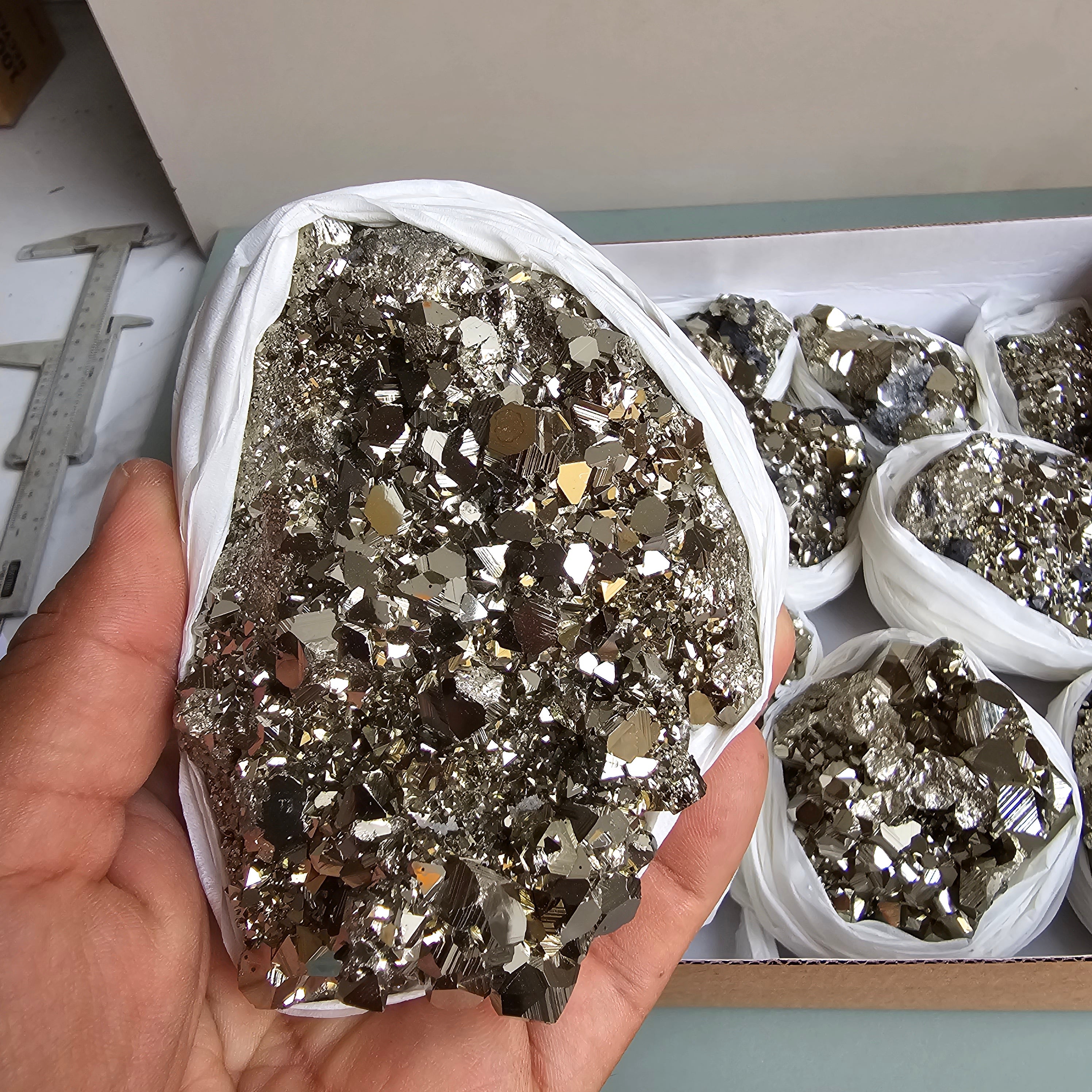 Flat pyrite Octahedral