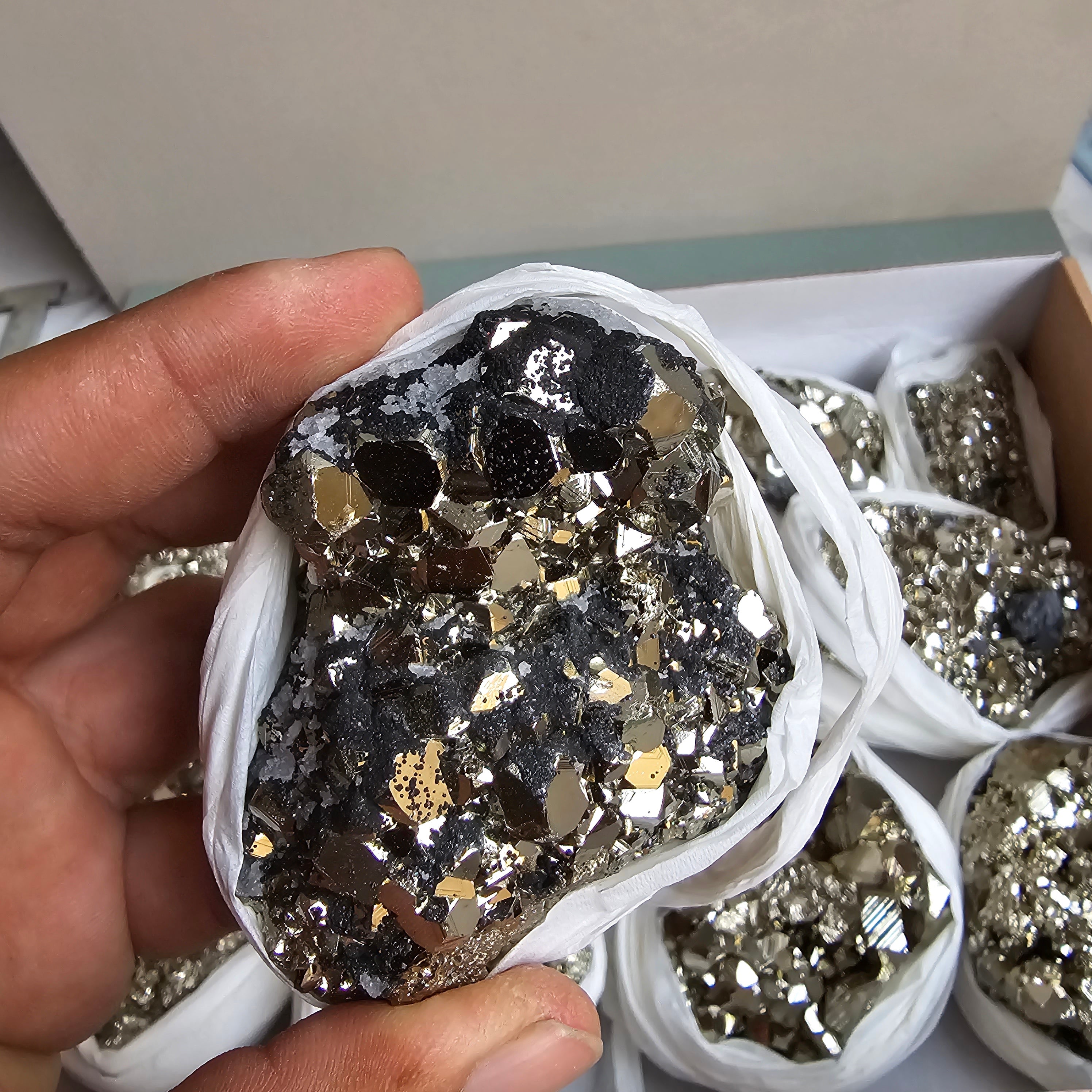 Flat pyrite Octahedral