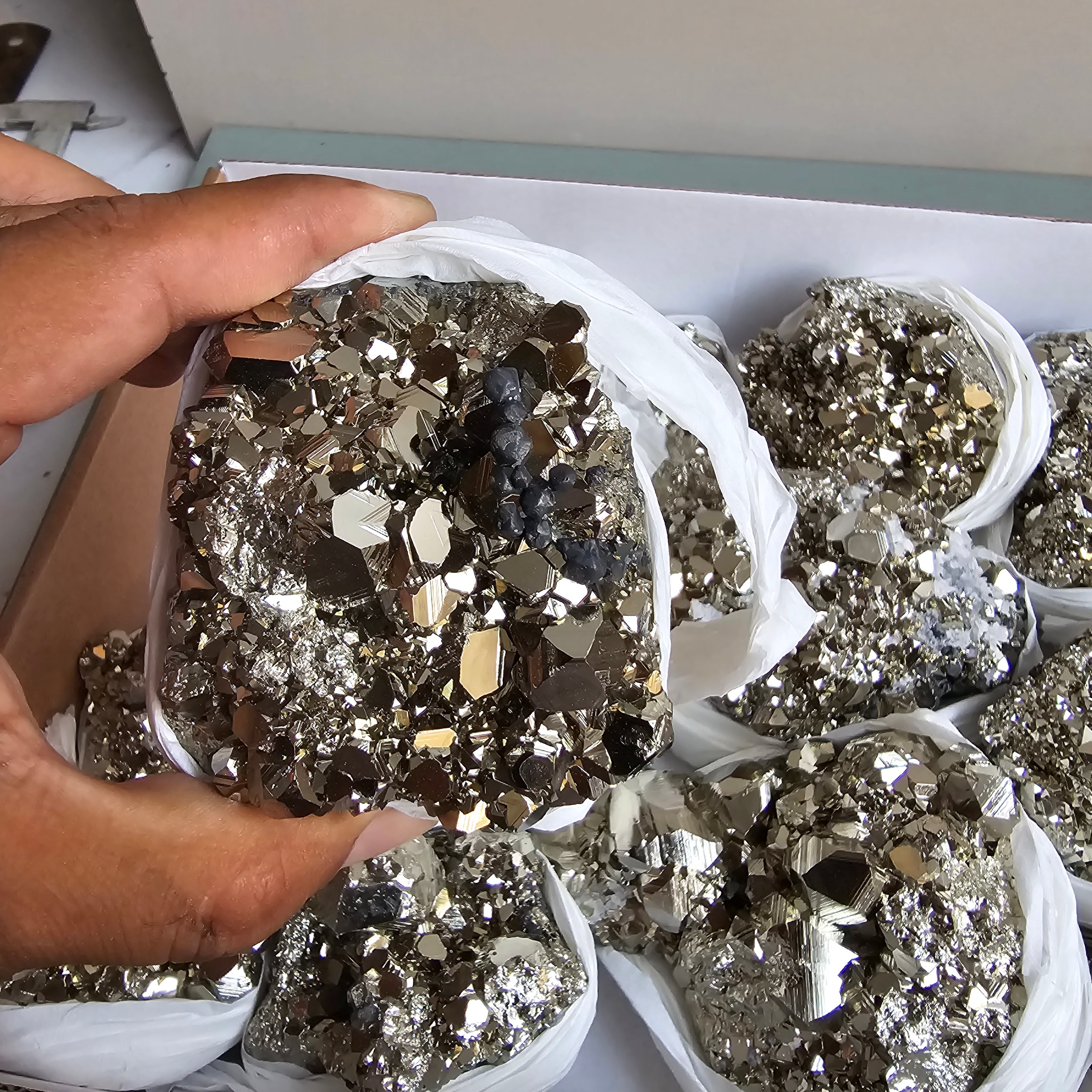 Flat pyrite Octahedral