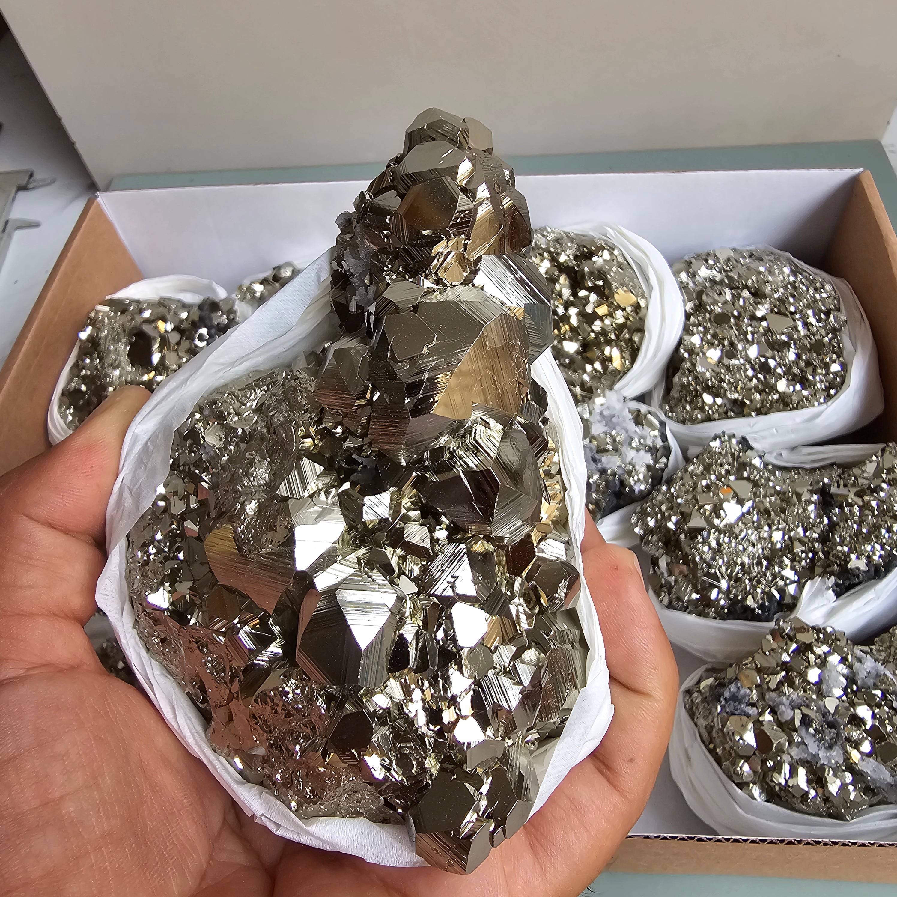 Flat pyrite Octahedral