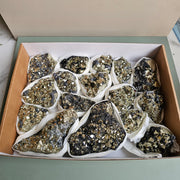 Flat pyrite Octahedral
