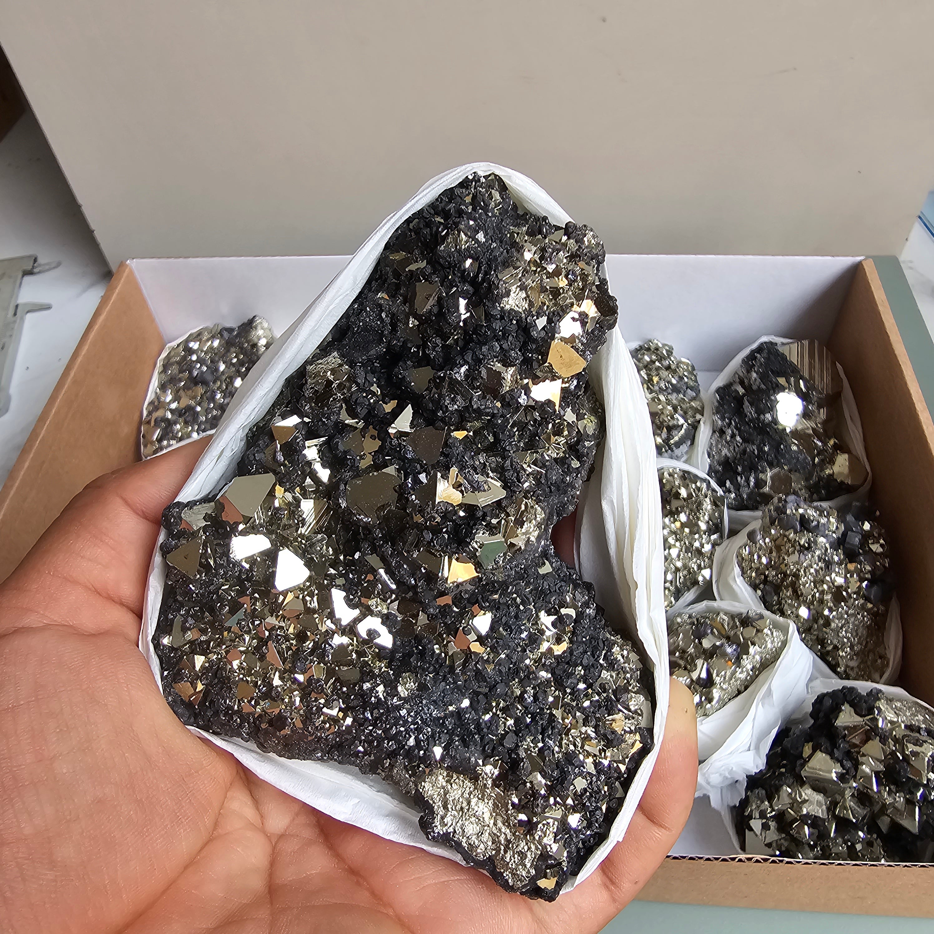 Flat pyrite Octahedral