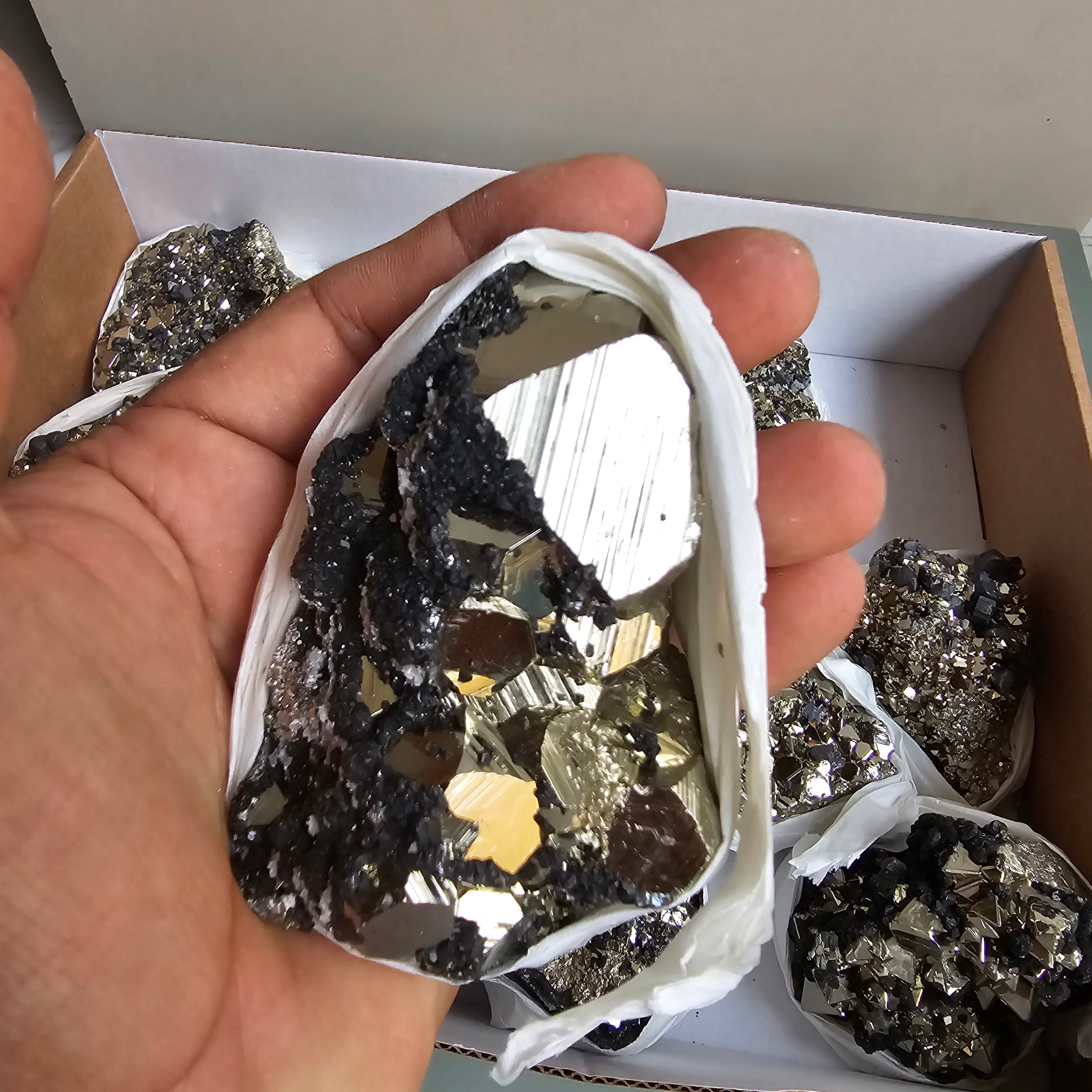 Flat pyrite Octahedral