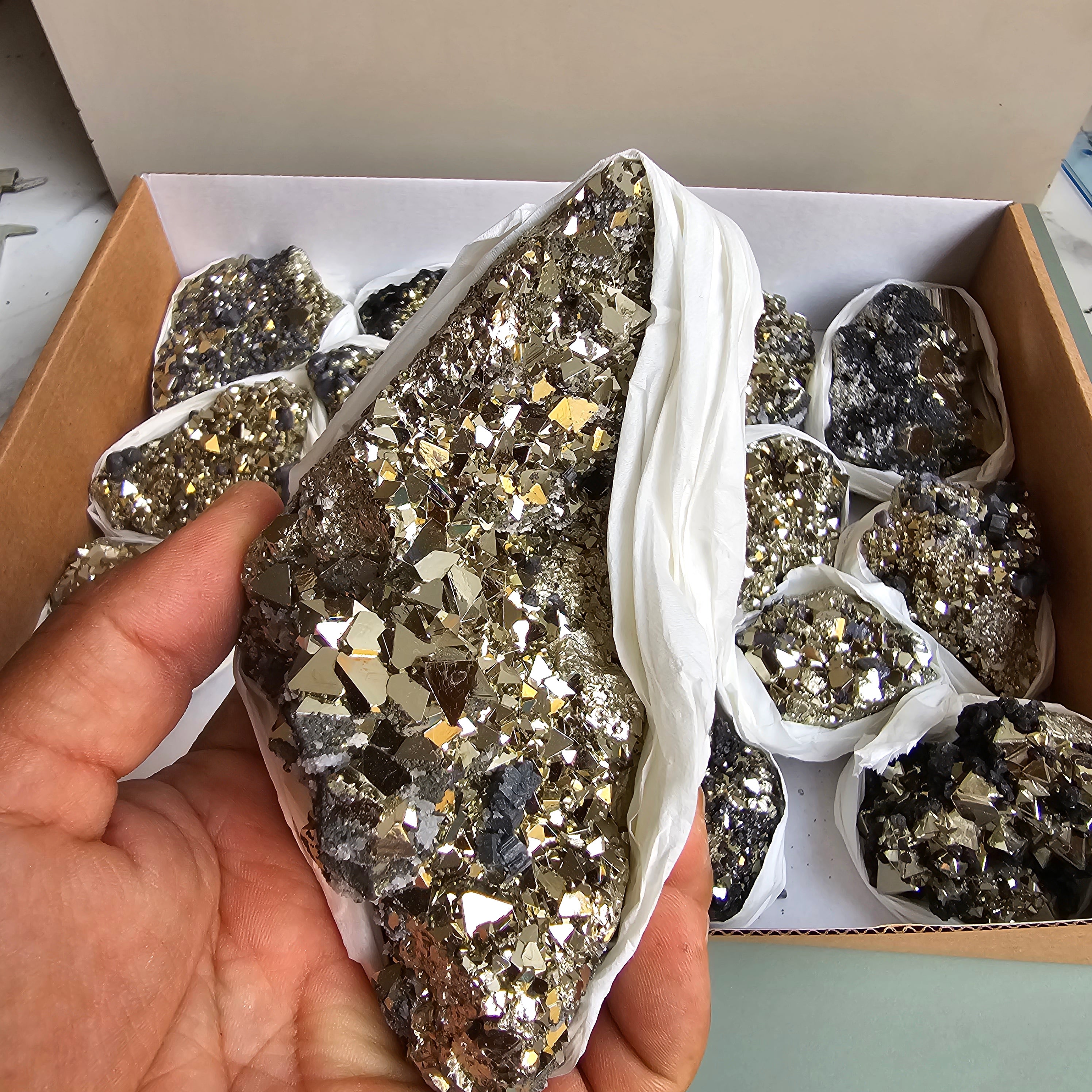 Flat pyrite Octahedral
