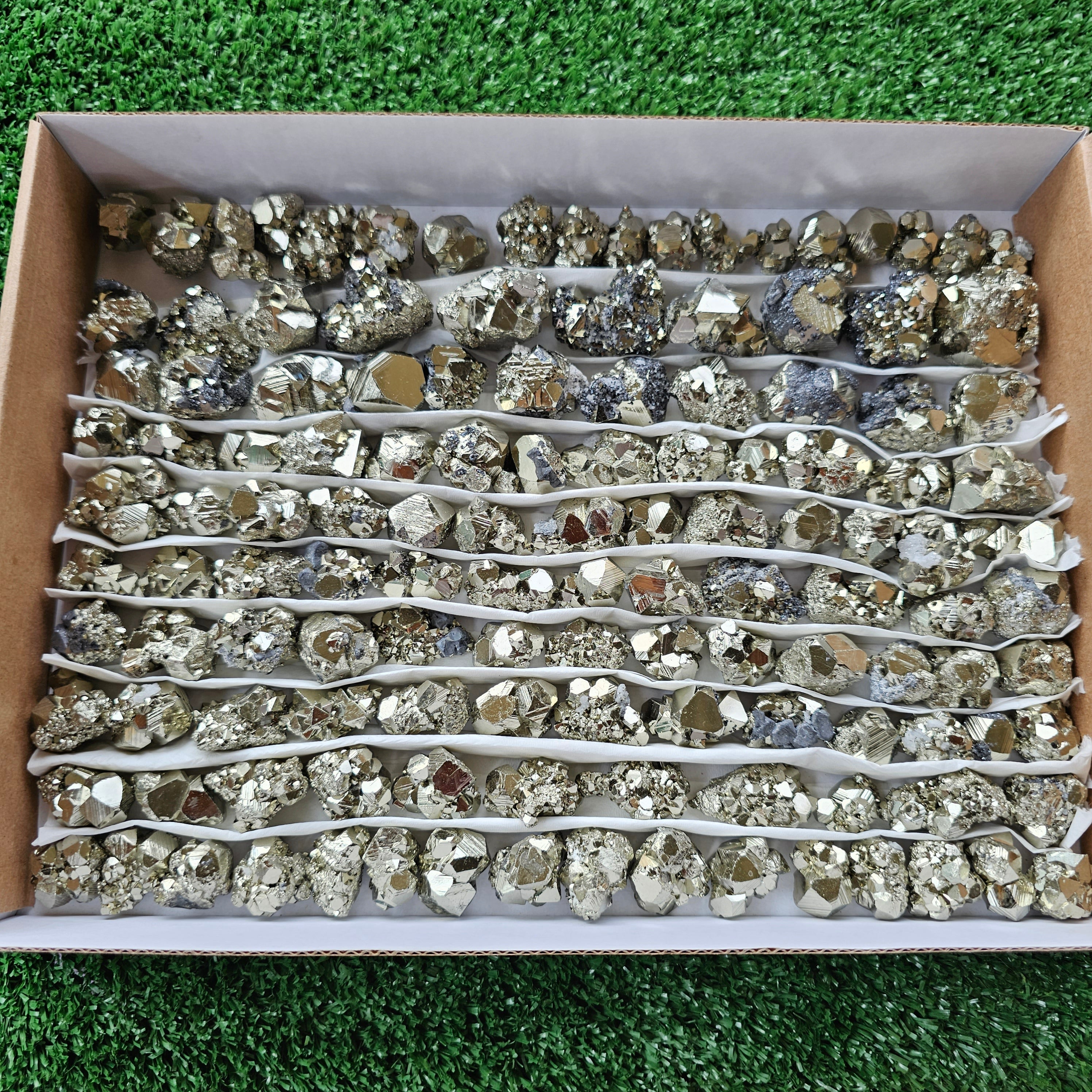 Box 130 pcs pyrite Octahedral