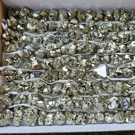 Box 115 pcs pyrite Octahedral
