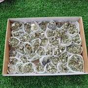 Box 41 pcs pyrite Octahedral