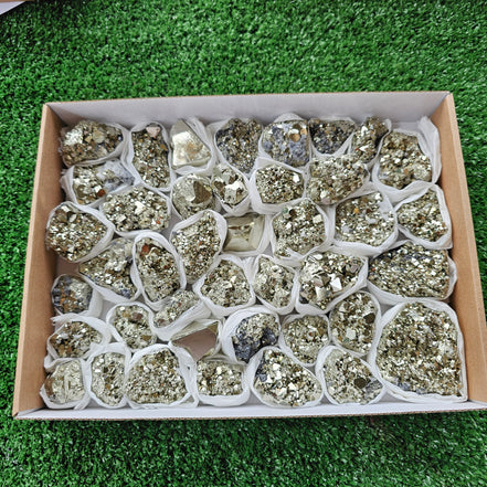 Box 41 pcs pyrite Octahedral