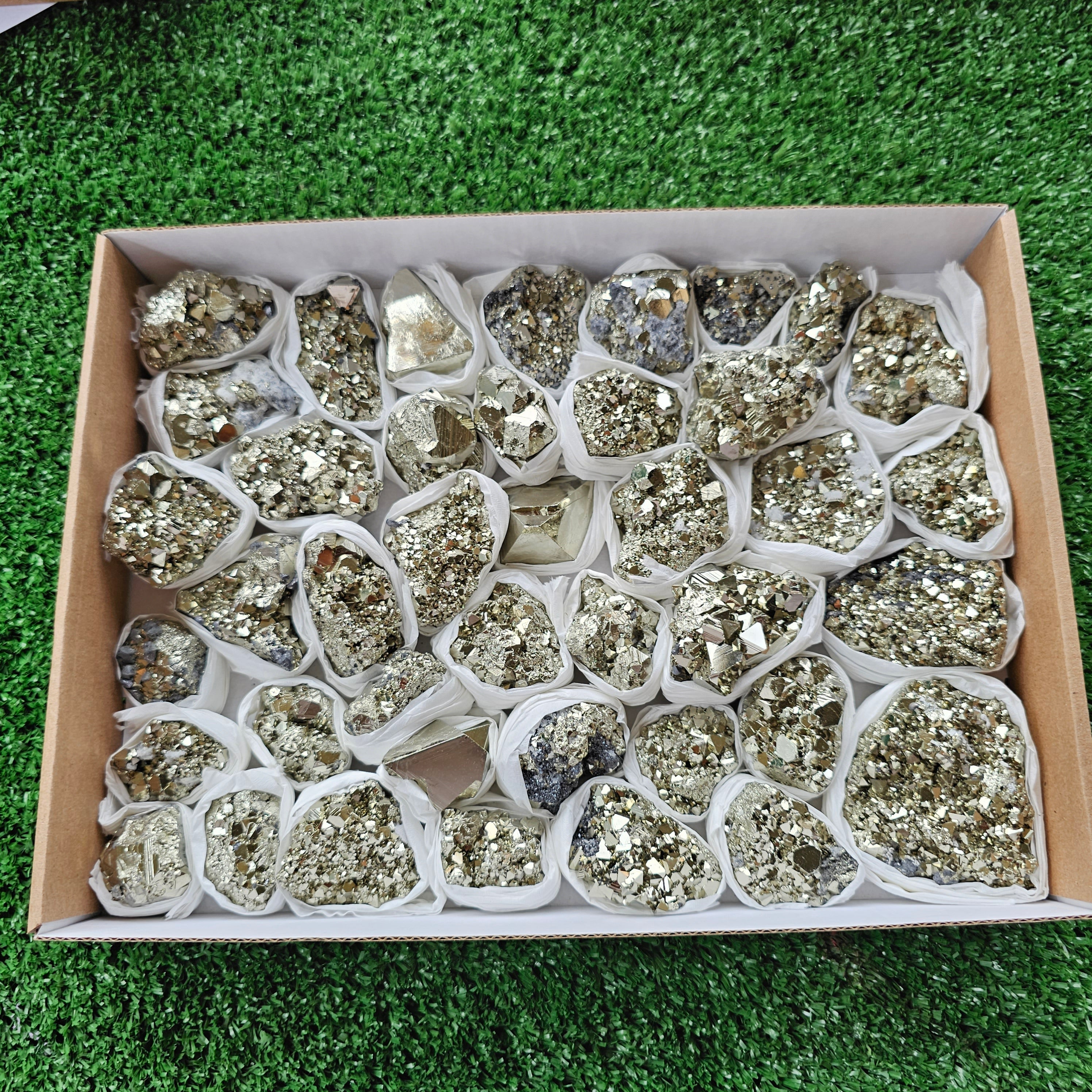 Box 41 pcs pyrite Octahedral