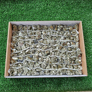 Box 112 pcs pyrite Octahedral