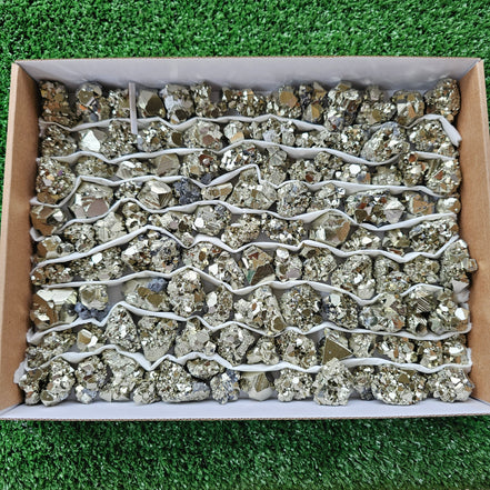 Box 112 pcs pyrite Octahedral