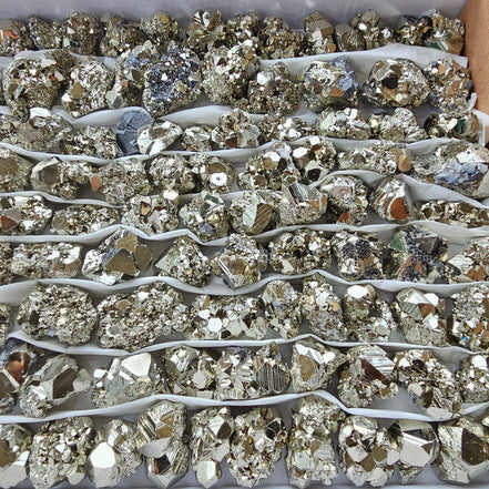 Box 105 pcs pyrite Octahedral