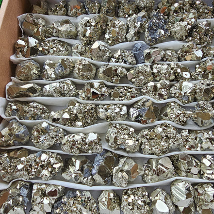 Box 105 pcs pyrite Octahedral