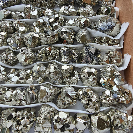 Box 105 pcs pyrite Octahedral