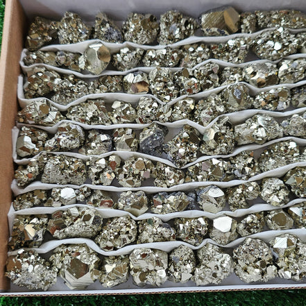 Box 102 pcs pyrite Octahedral