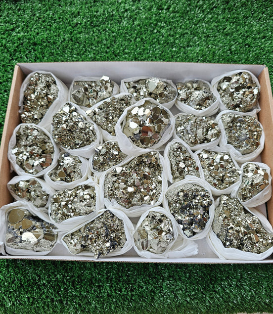 Box 24 pcs pyrite Octahedral