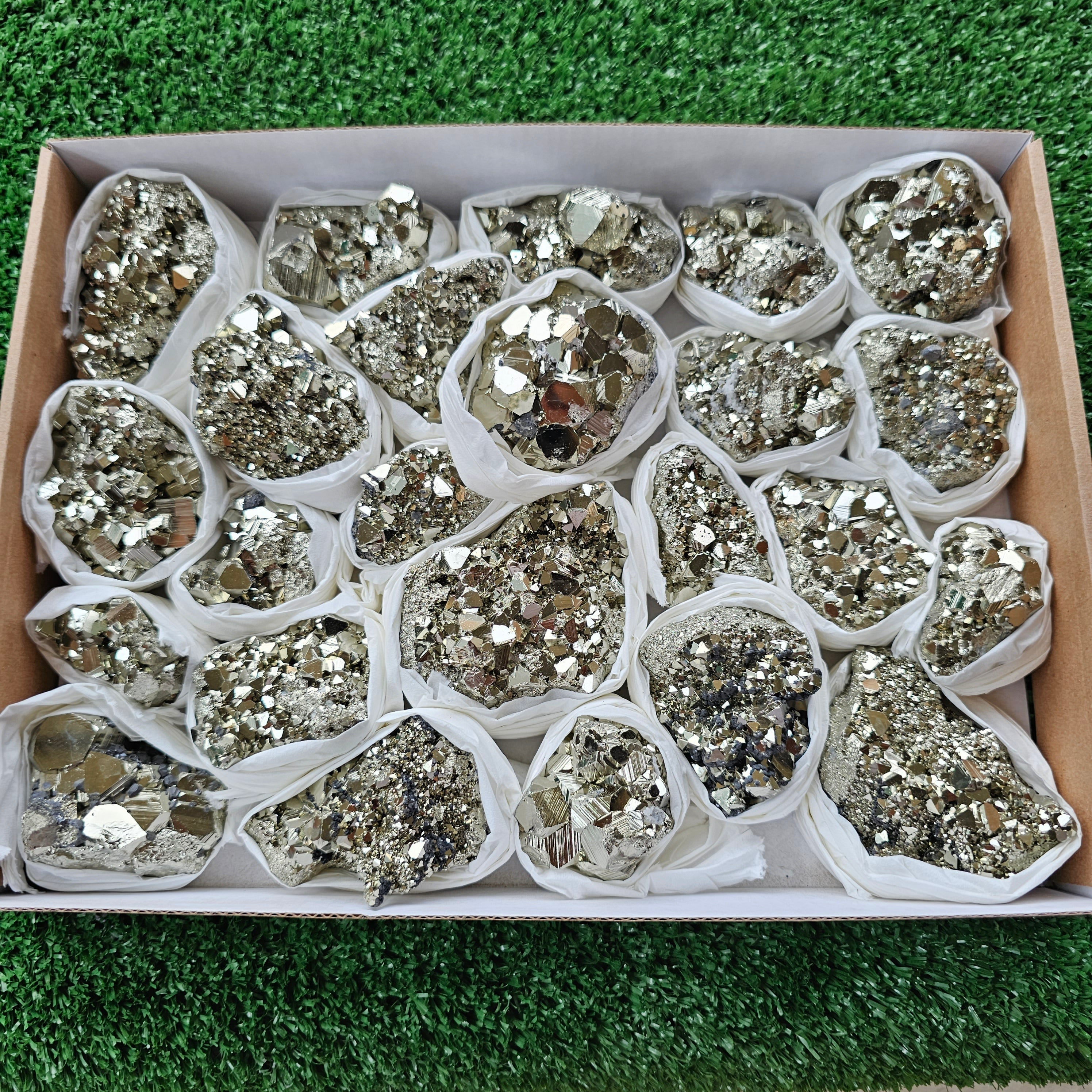 Box 24 pcs pyrite Octahedral