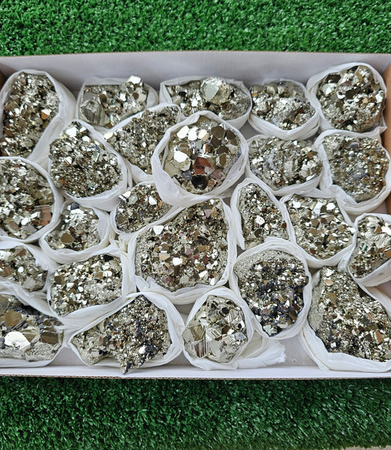Box 24 pcs pyrite Octahedral