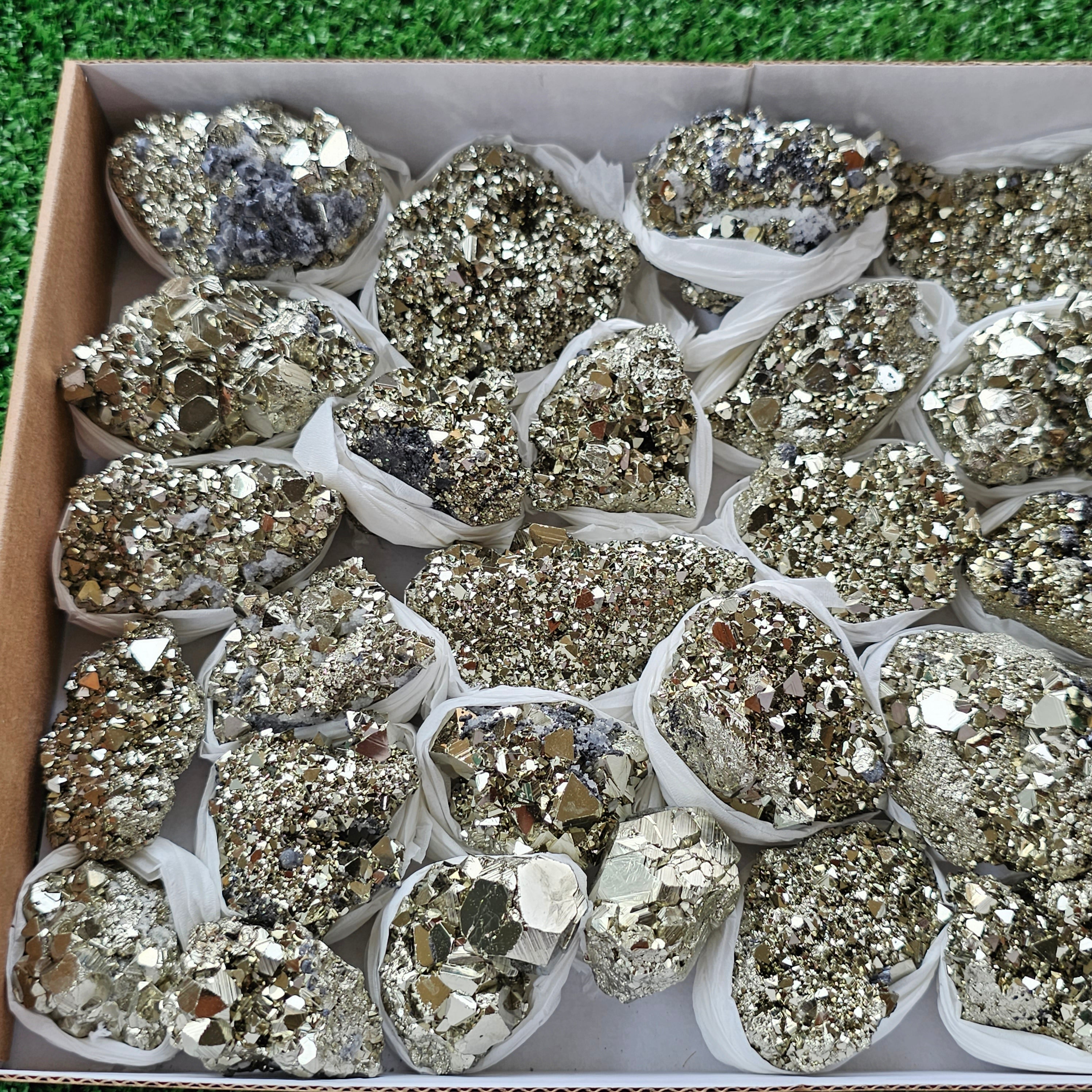 Box 30 pcs pyrite Octahedral